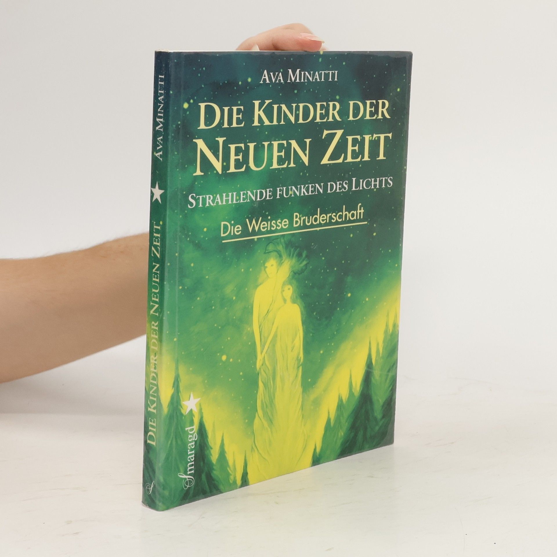 Ava Minatti Die Kinder der Neuen Zeit. Die Weiße Bruderschaft