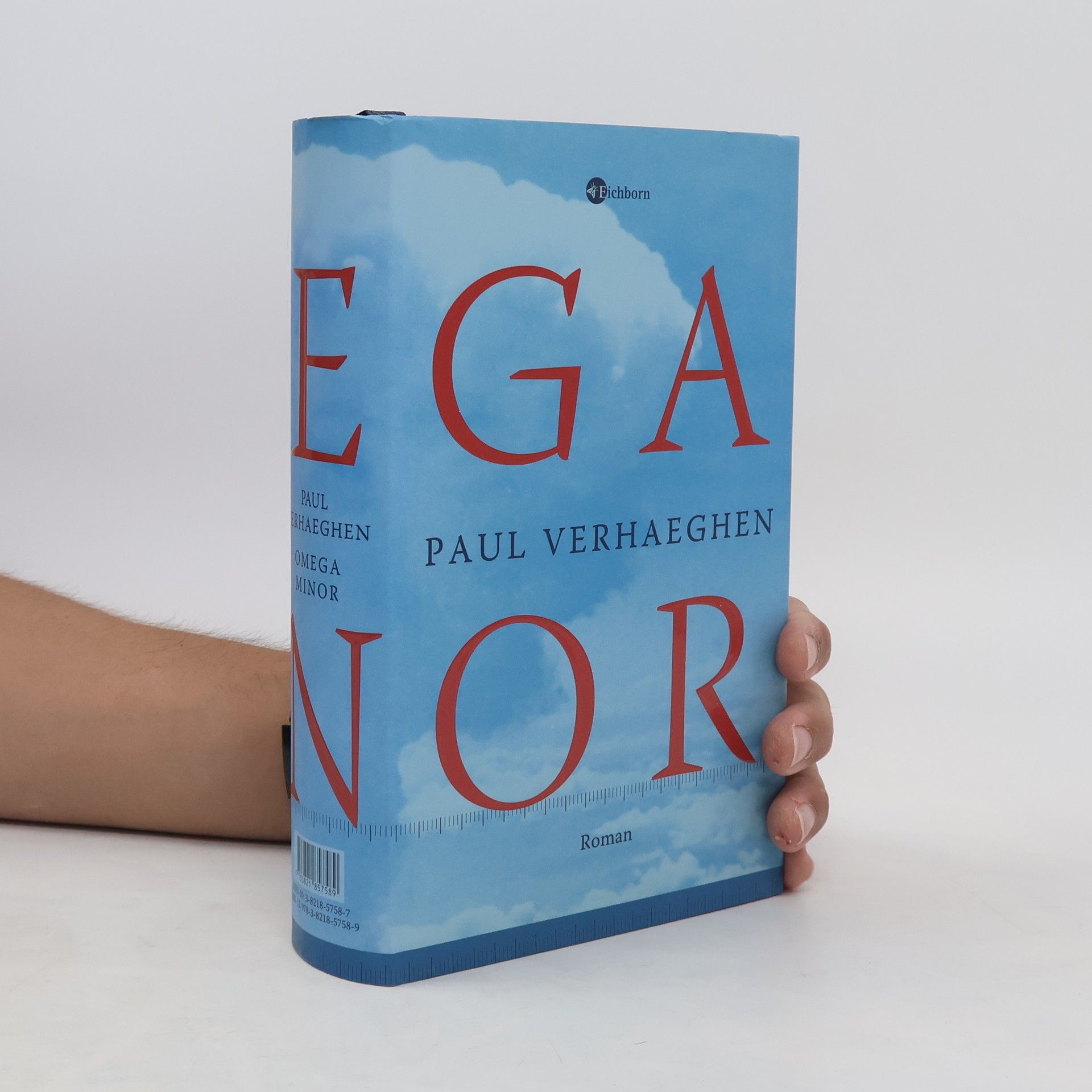 Paul Verhaeghen Omega minor