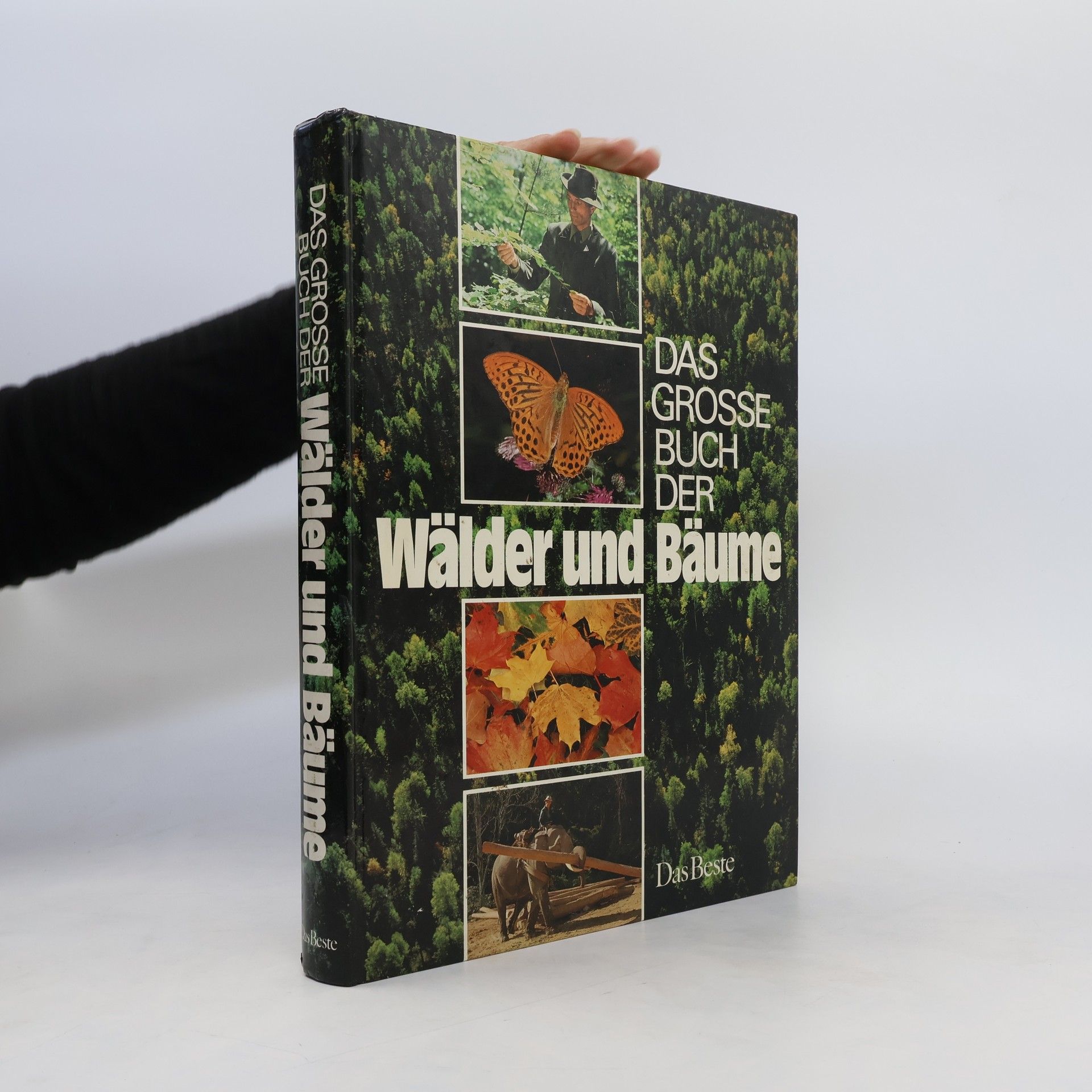 Hugh Johnson Das grosse Buch der Wälder und Bäume