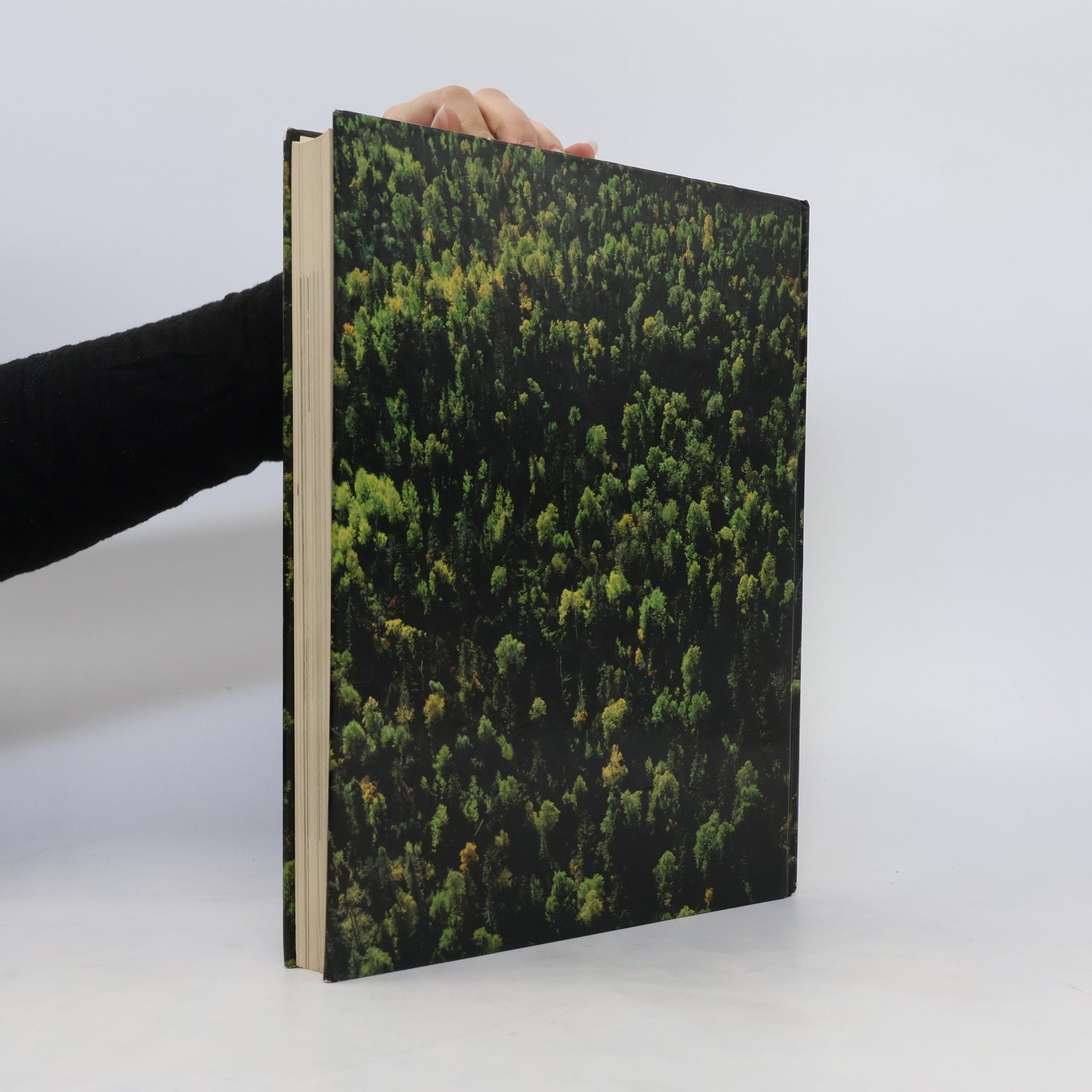 Hugh Johnson Das grosse Buch der Wälder und Bäume