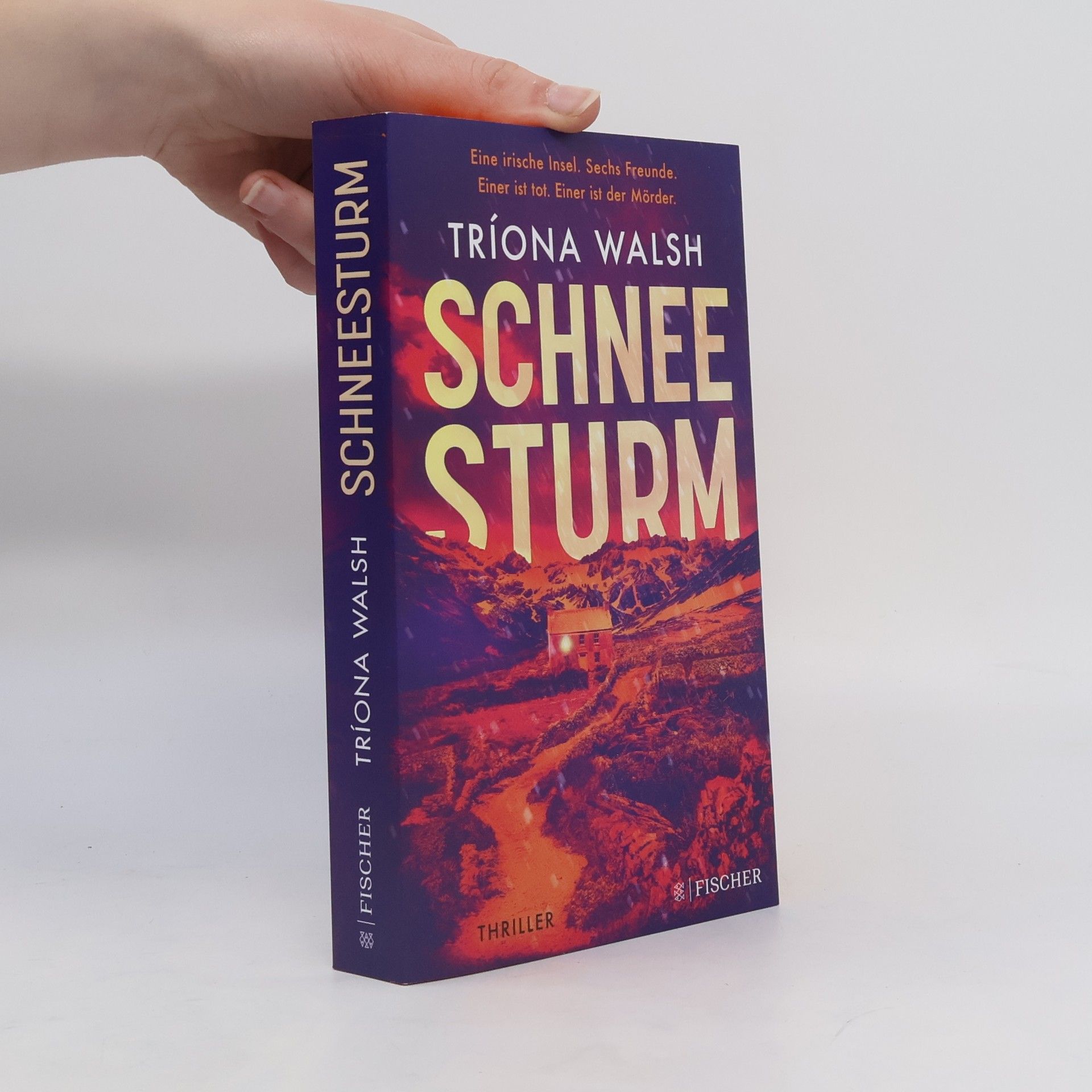 Tríona Walsh Schneesturm