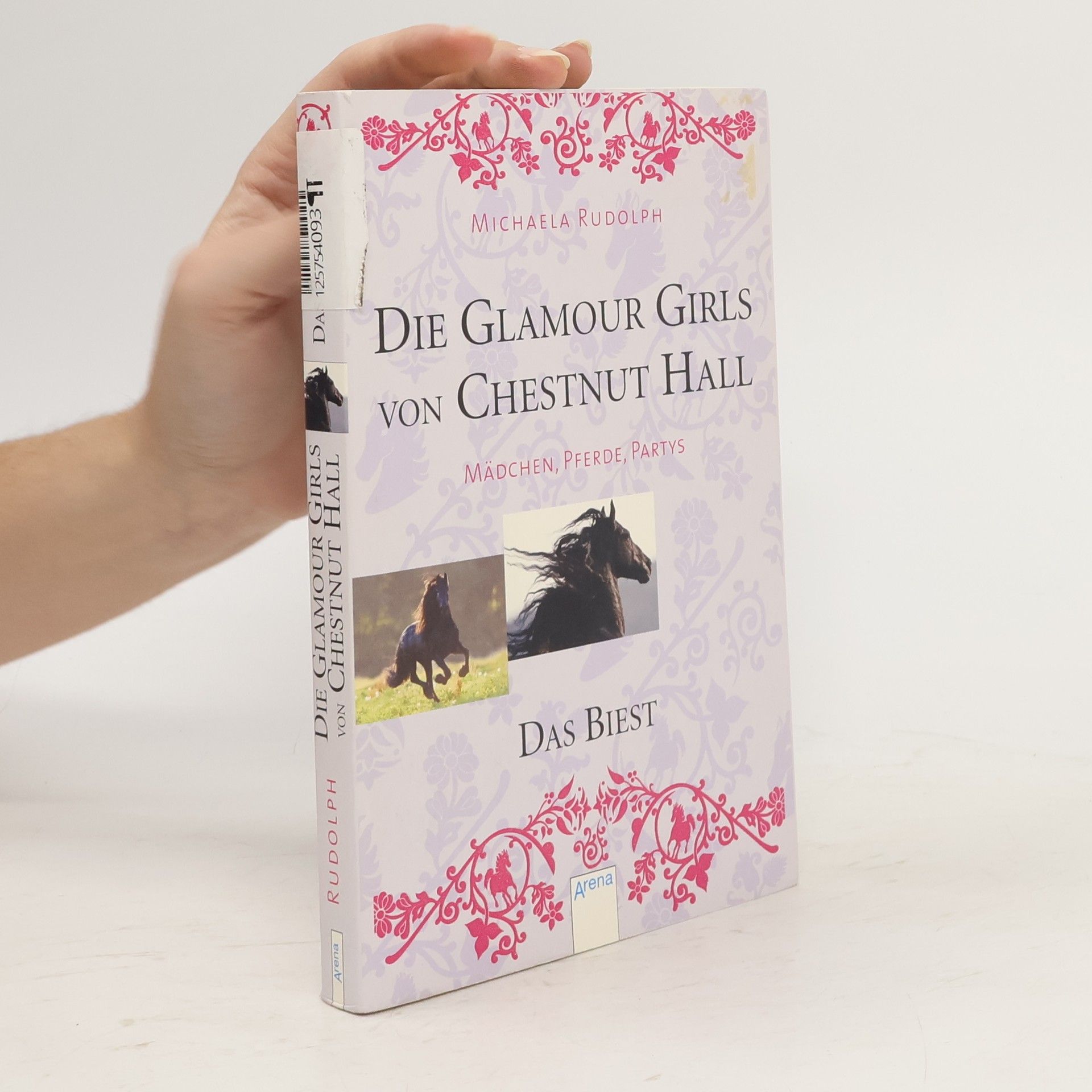 Michaela Rudolph Die Glamour Girls von Chestnut Hall - Das Biest