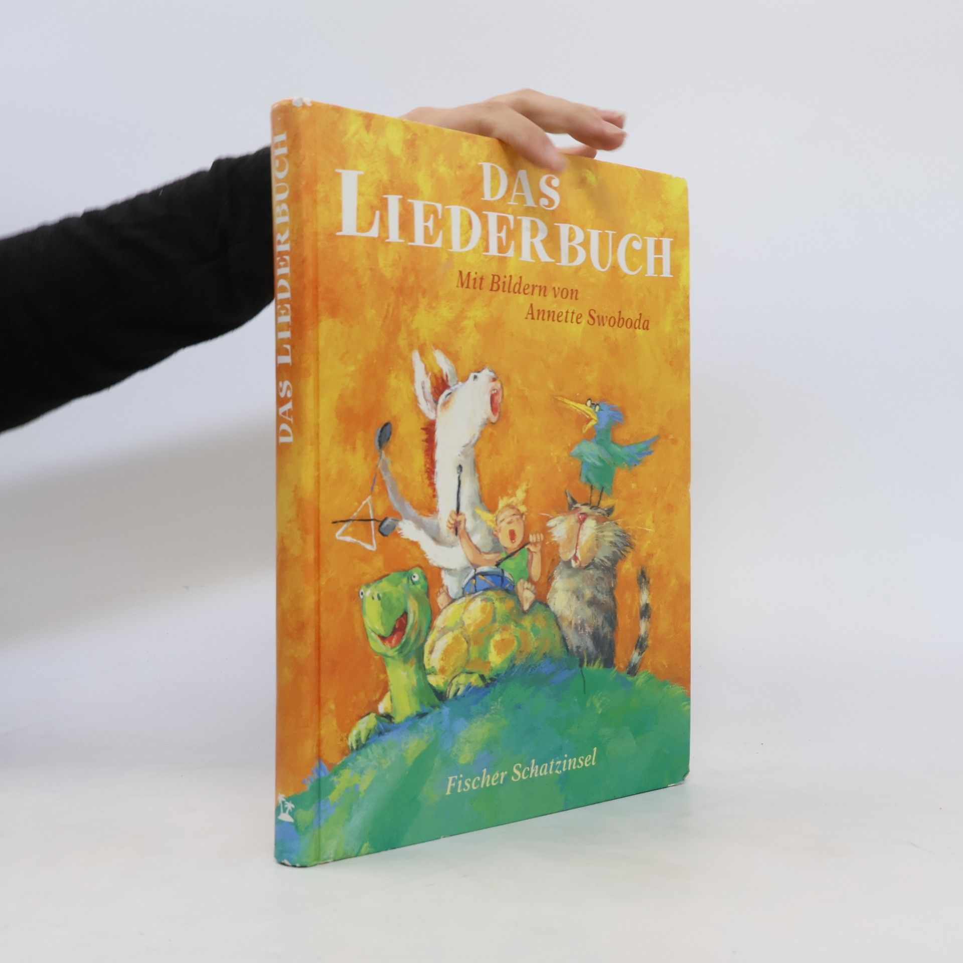 Catrin Frischer Das Liederbuch