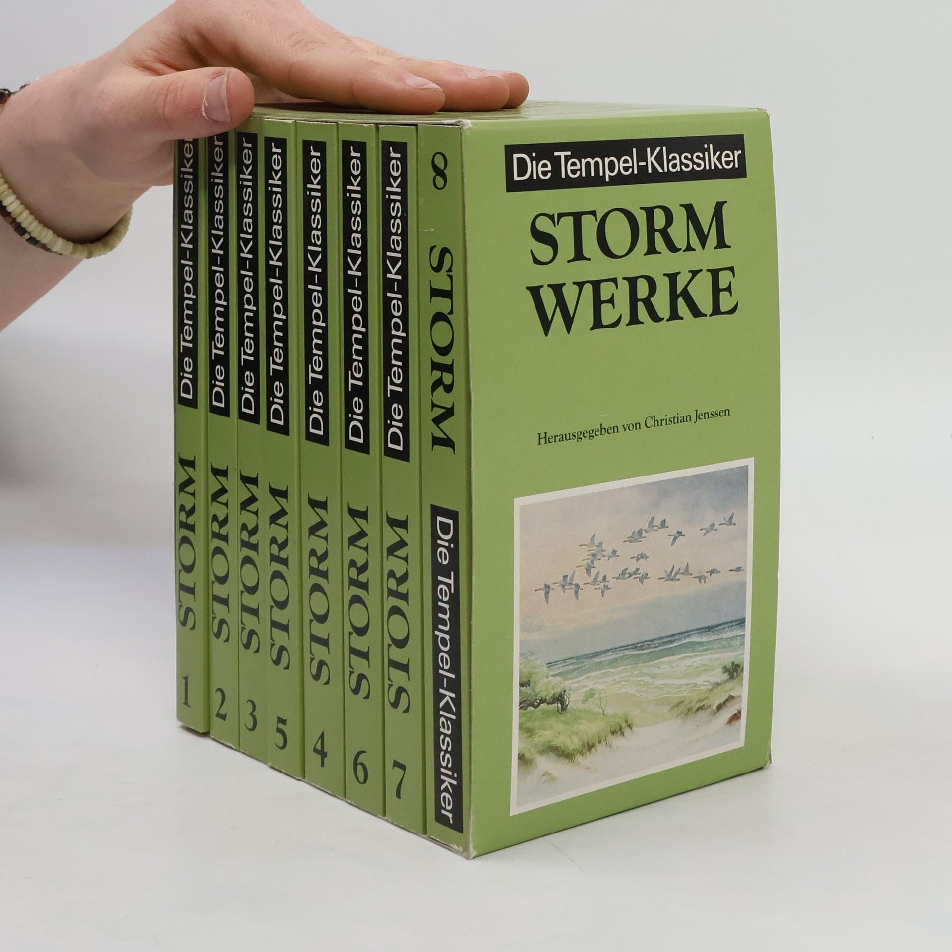 Christian Jenssen Die Tempel-Klassiker. Storm Werke 1-8