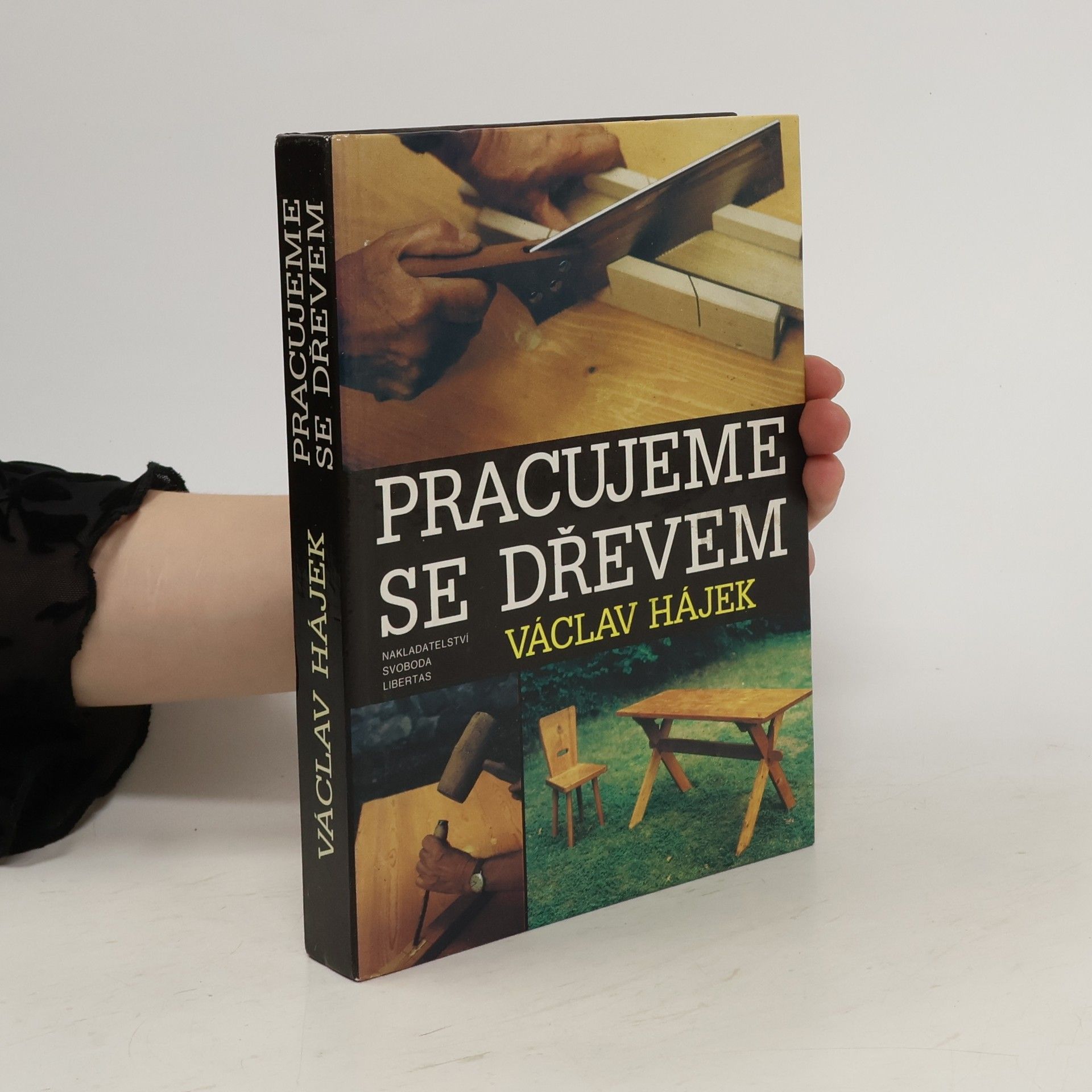 Václav Hájek Pracujeme se dřevem