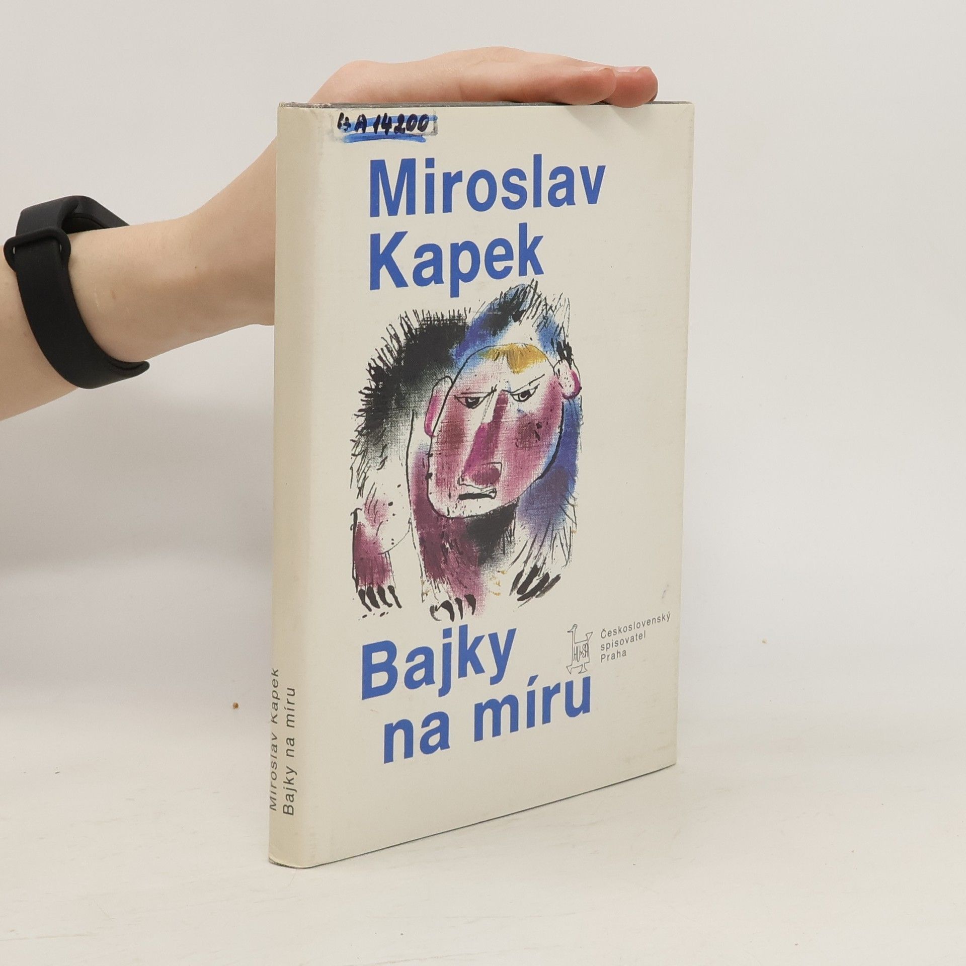 Miroslav Kapek Bajky na míru