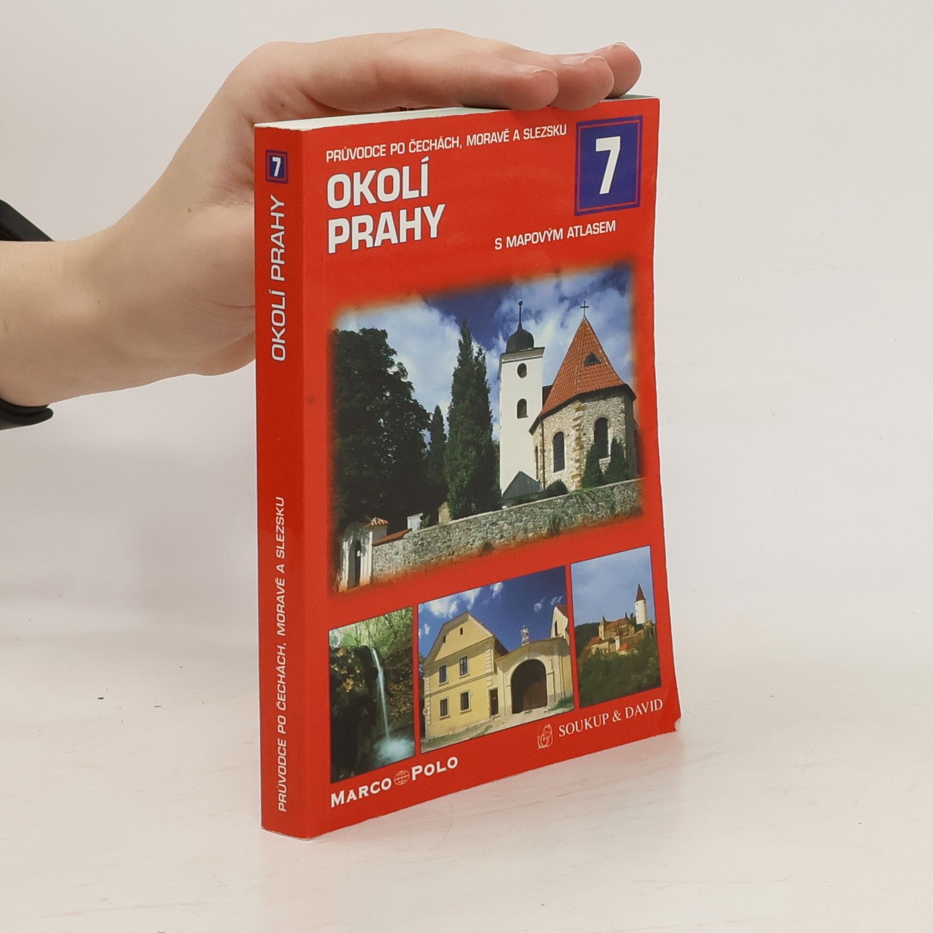 P. David Okolí Prahy