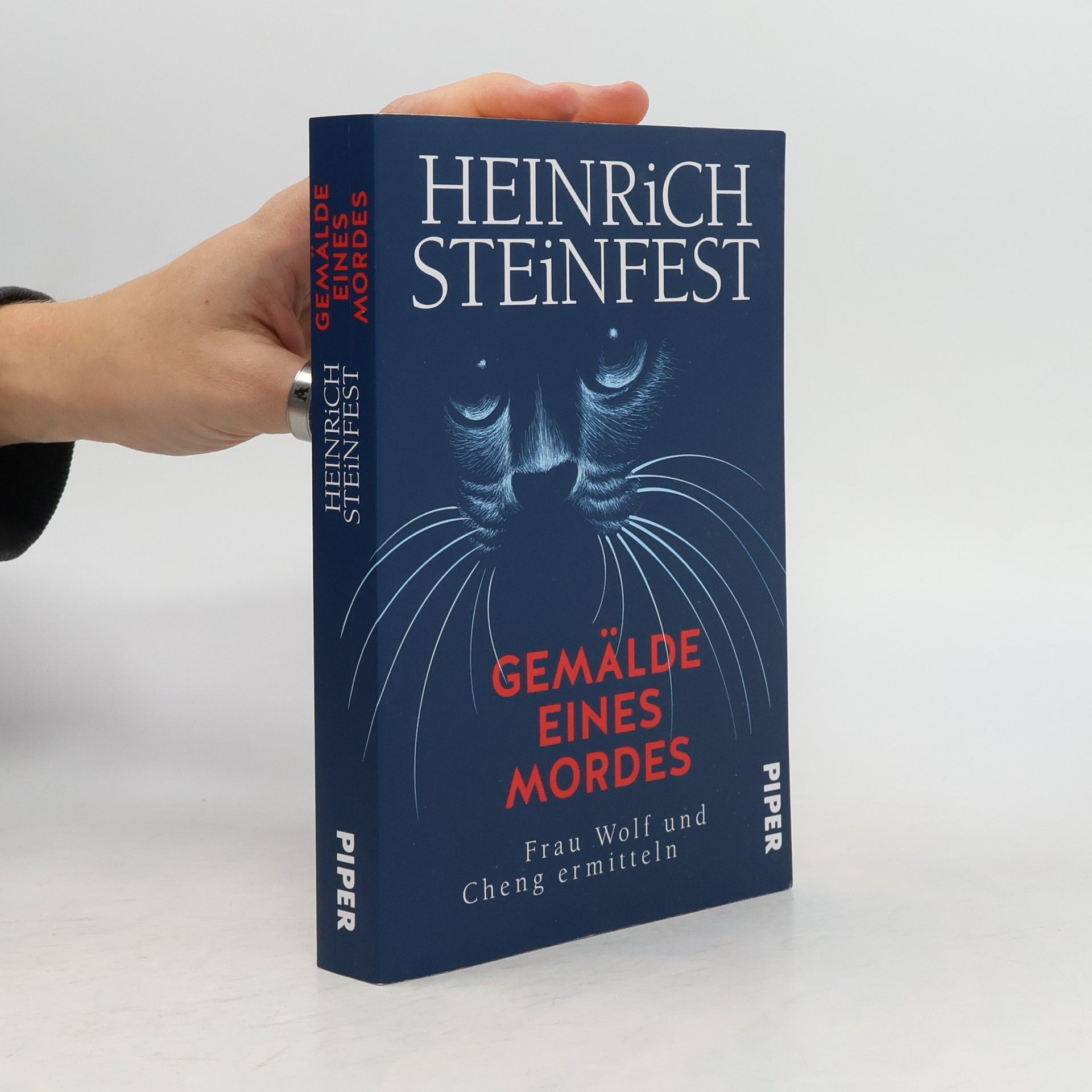 Heinrich Steinfest Gemälde eines Mordes