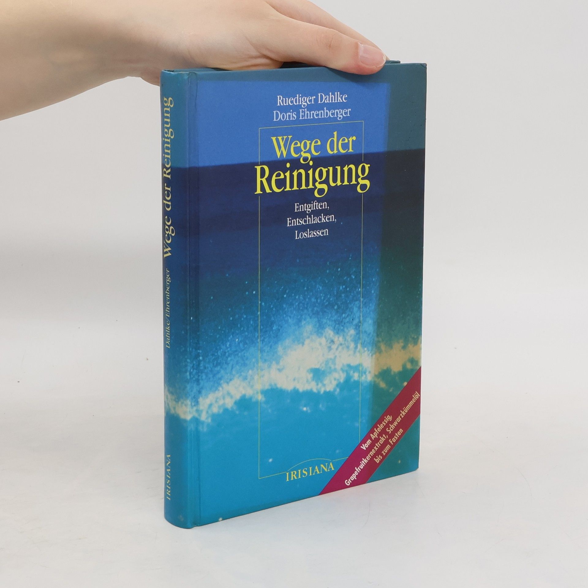Ruediger Dahlke Wege der Reinigung