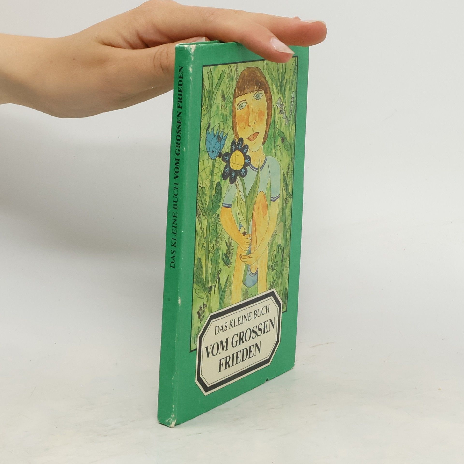 Kolektiv autorů Das kleine buch vom grossen Frieden