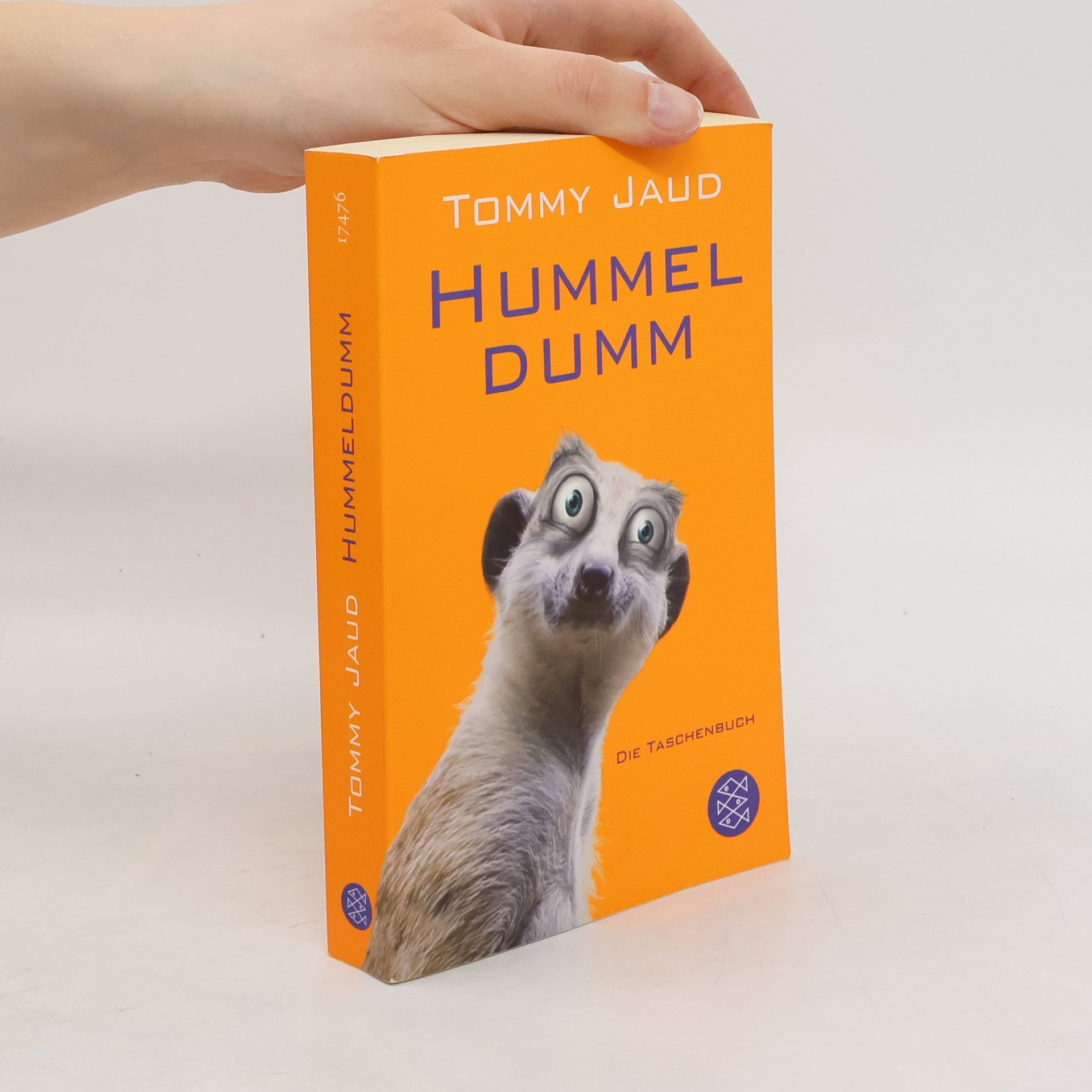 Tommy Jaud Hummeldumm