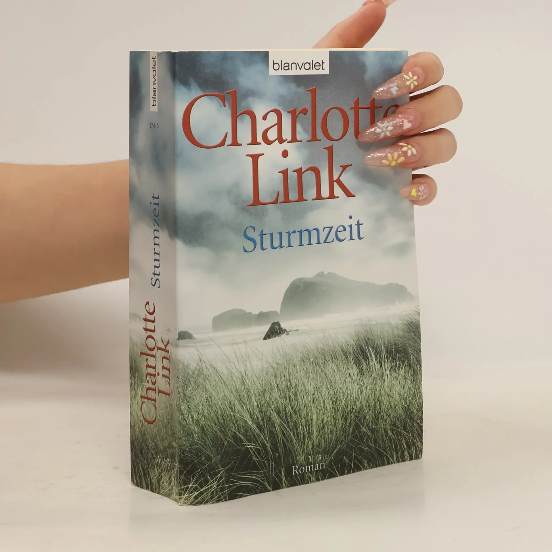 Sturmzeit | Buch | Charlotte Link