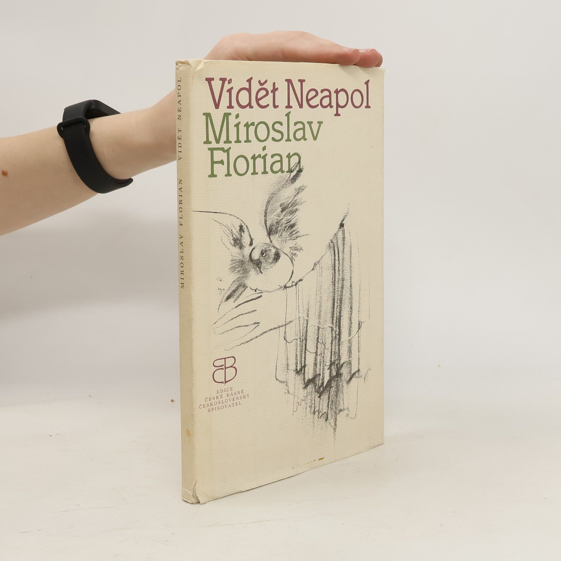 Miroslav Florian Vidět Neapol