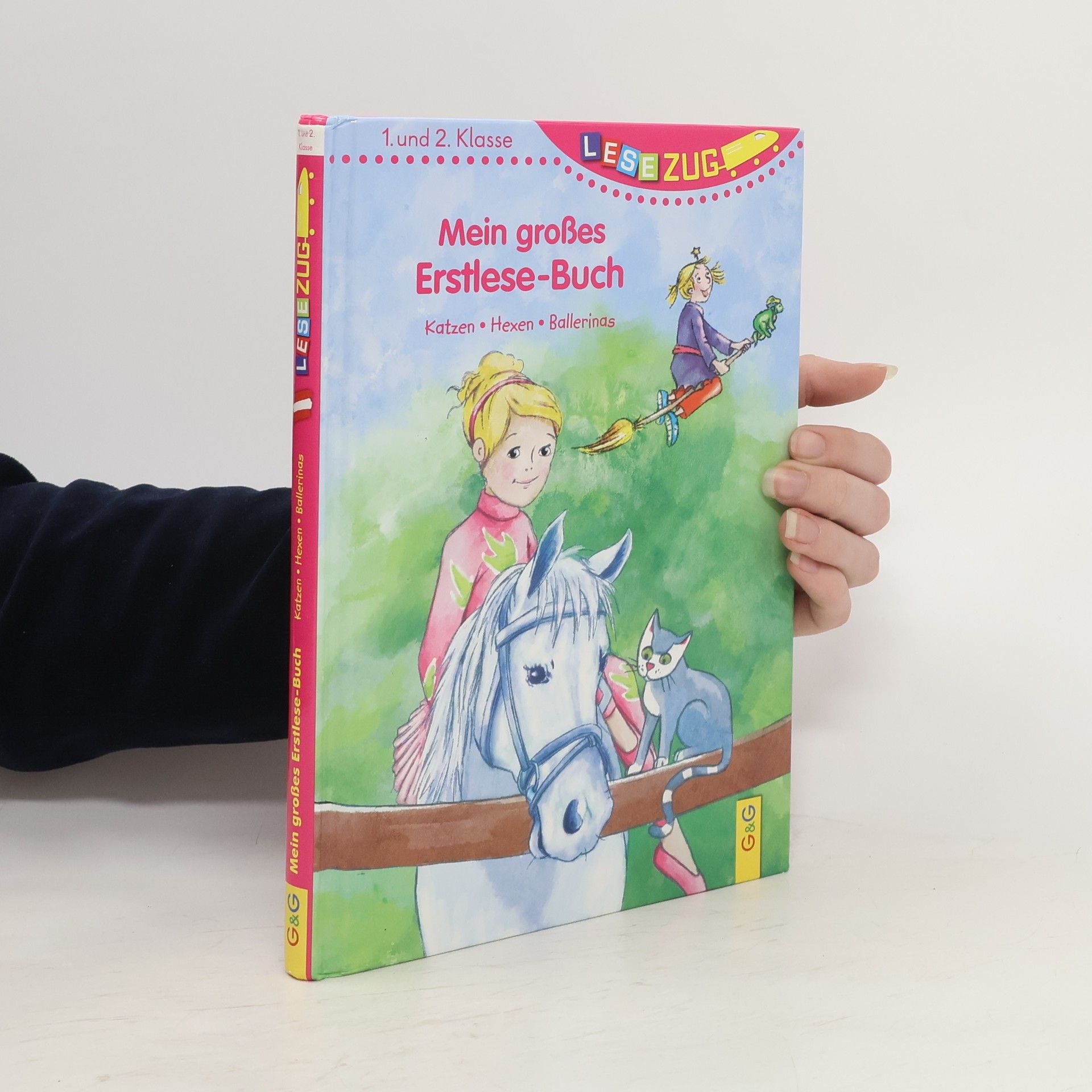 Michaela Holzinger Mein großes Erstlese-Buch - Katzen, Hexen, Ballerinas