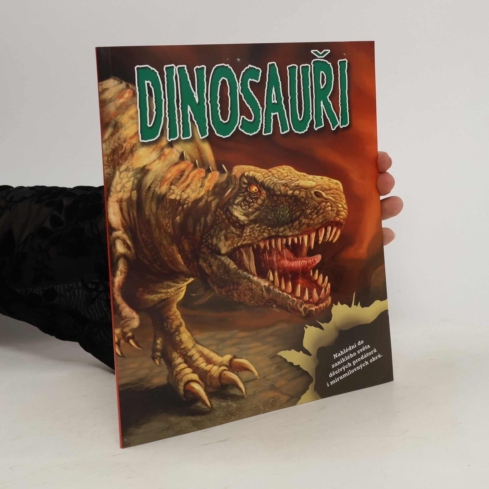 kolektiv Dinosauři - kniha a modely a samolepky