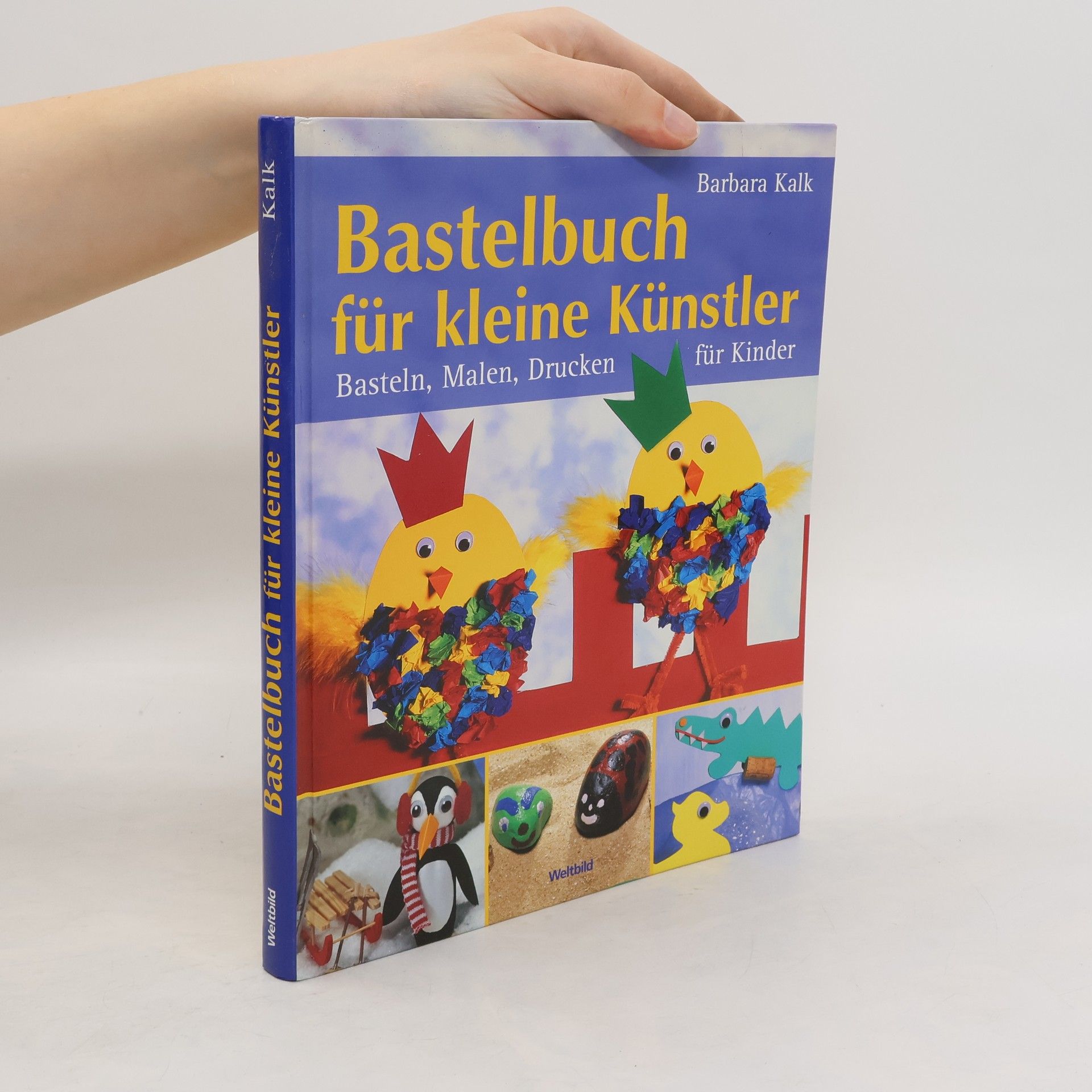 Barbara Kalk Bastelbuch für kleine Künstler