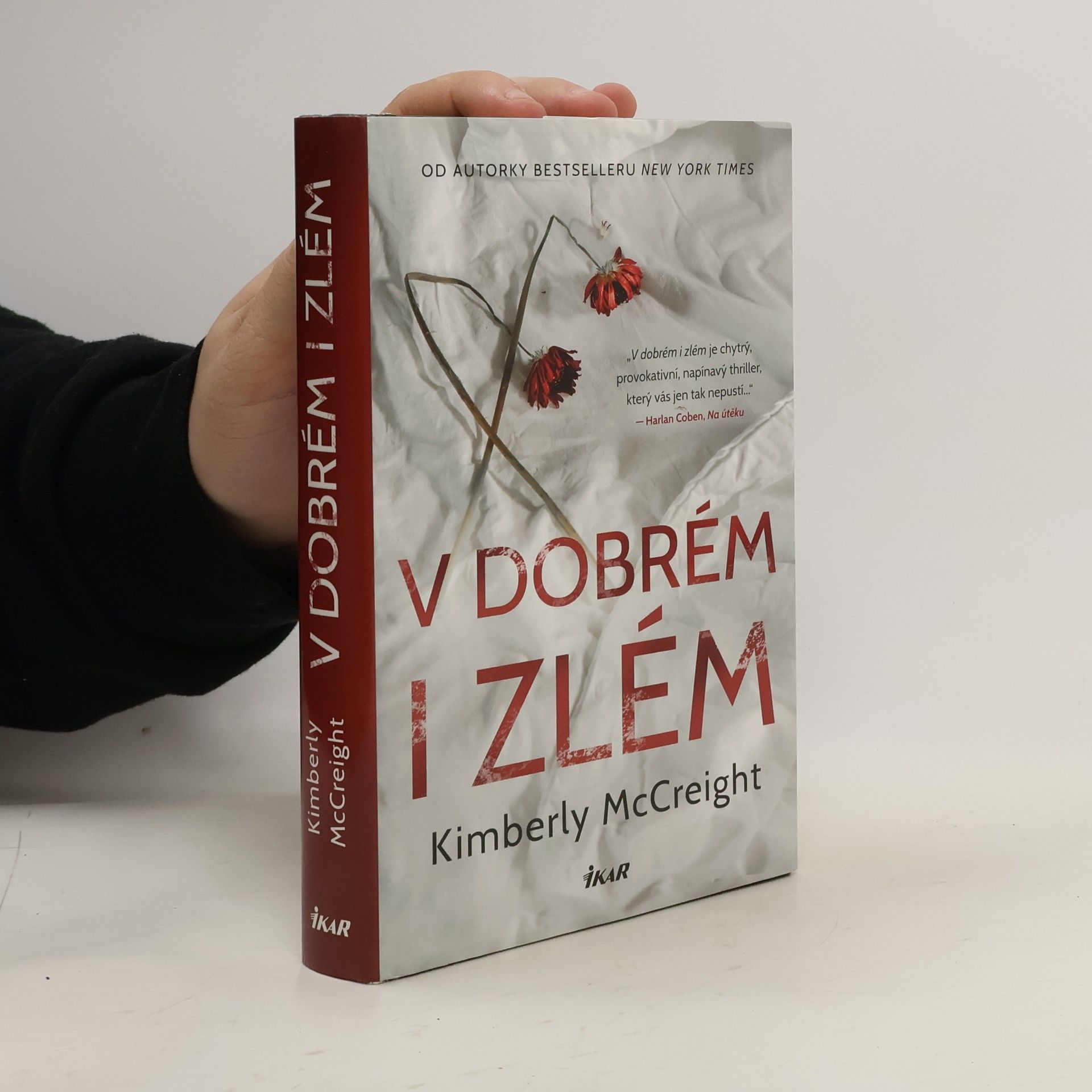 Kimberly McCreight V dobrém i zlém