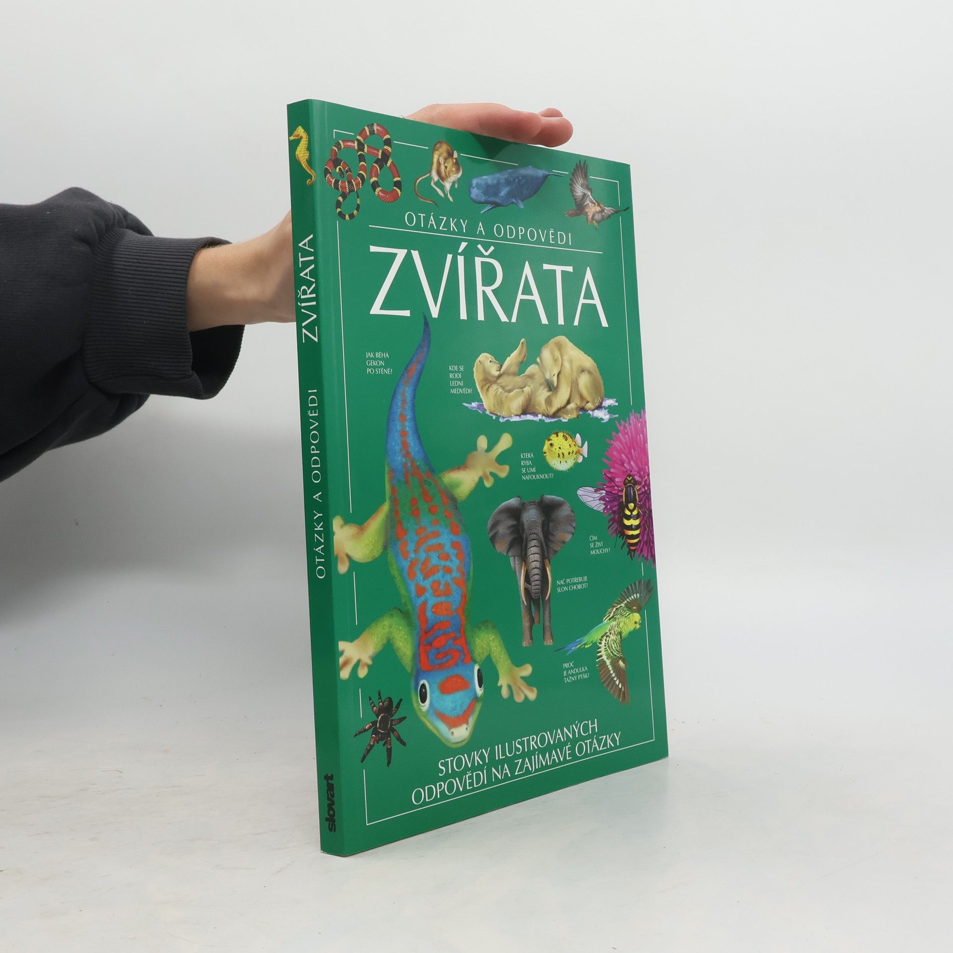 Jen Green Zvířata: Otázky a odpovědi