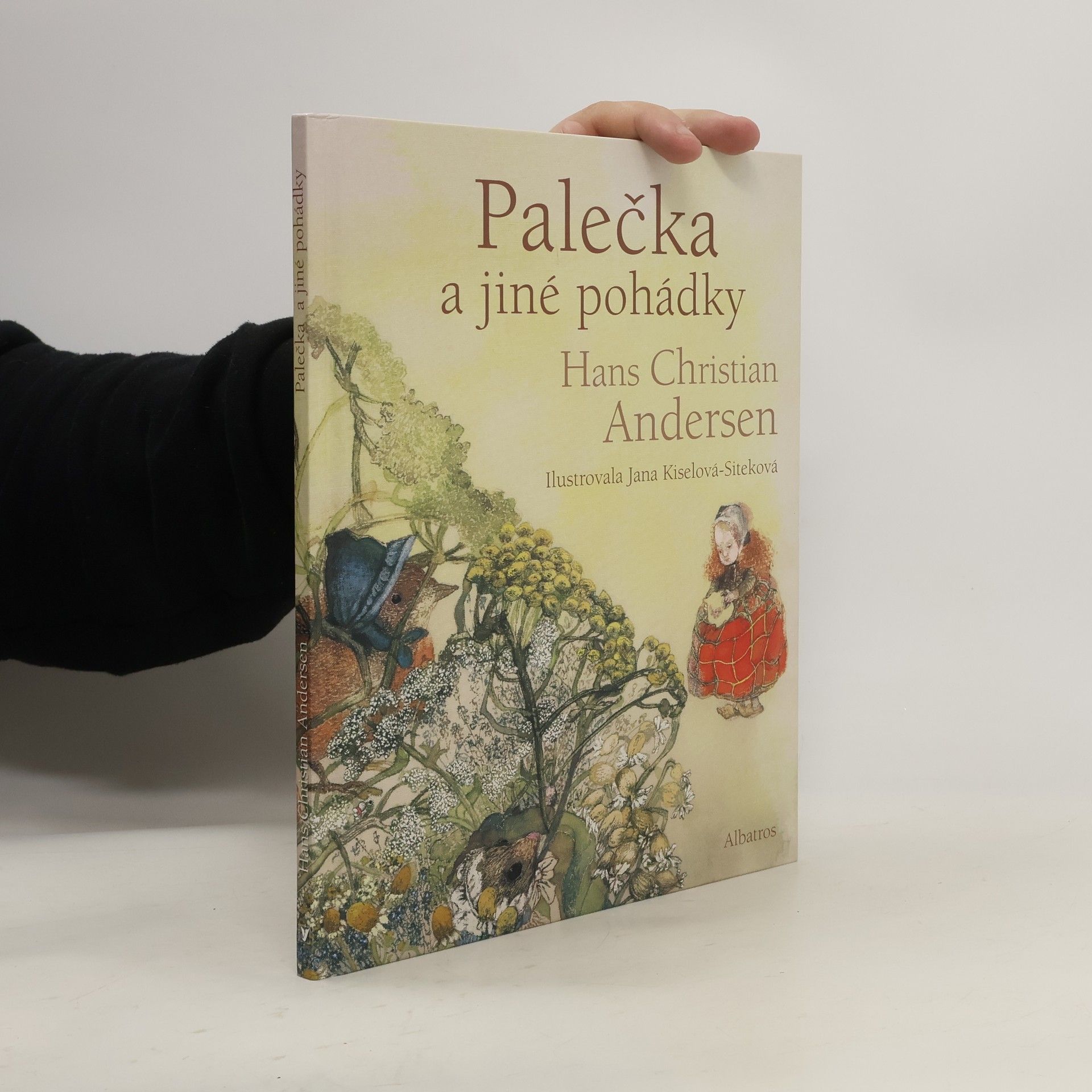 Hans Christian Andersen Palečka a jiné pohádky