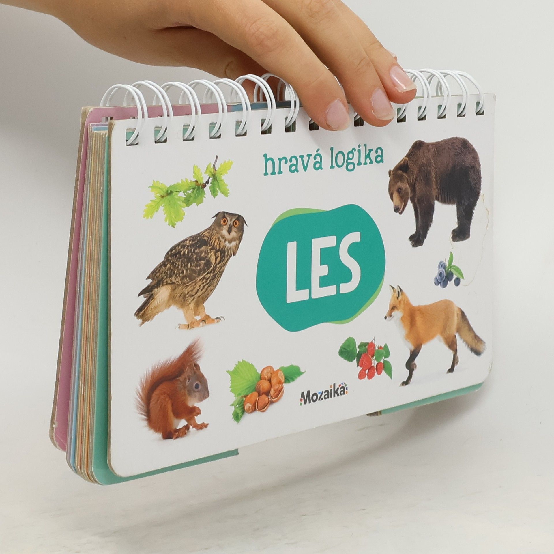 kolektiv Les : hravá logika Hravá logika - les