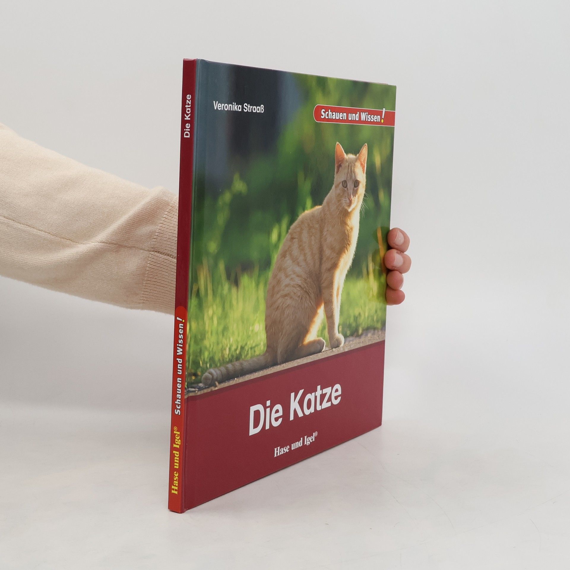 Veronika Straaß Die Katze