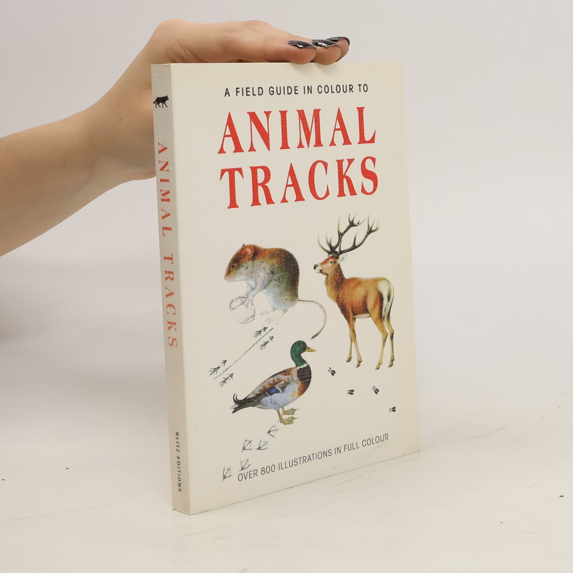 Miroslav Bouchner Animal Tracks