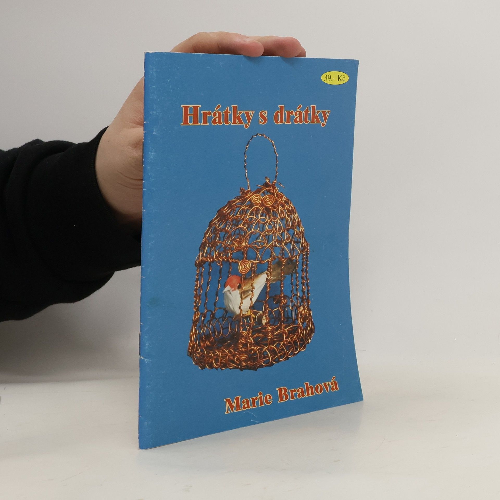 Brahová Marie Hrátky s drátky