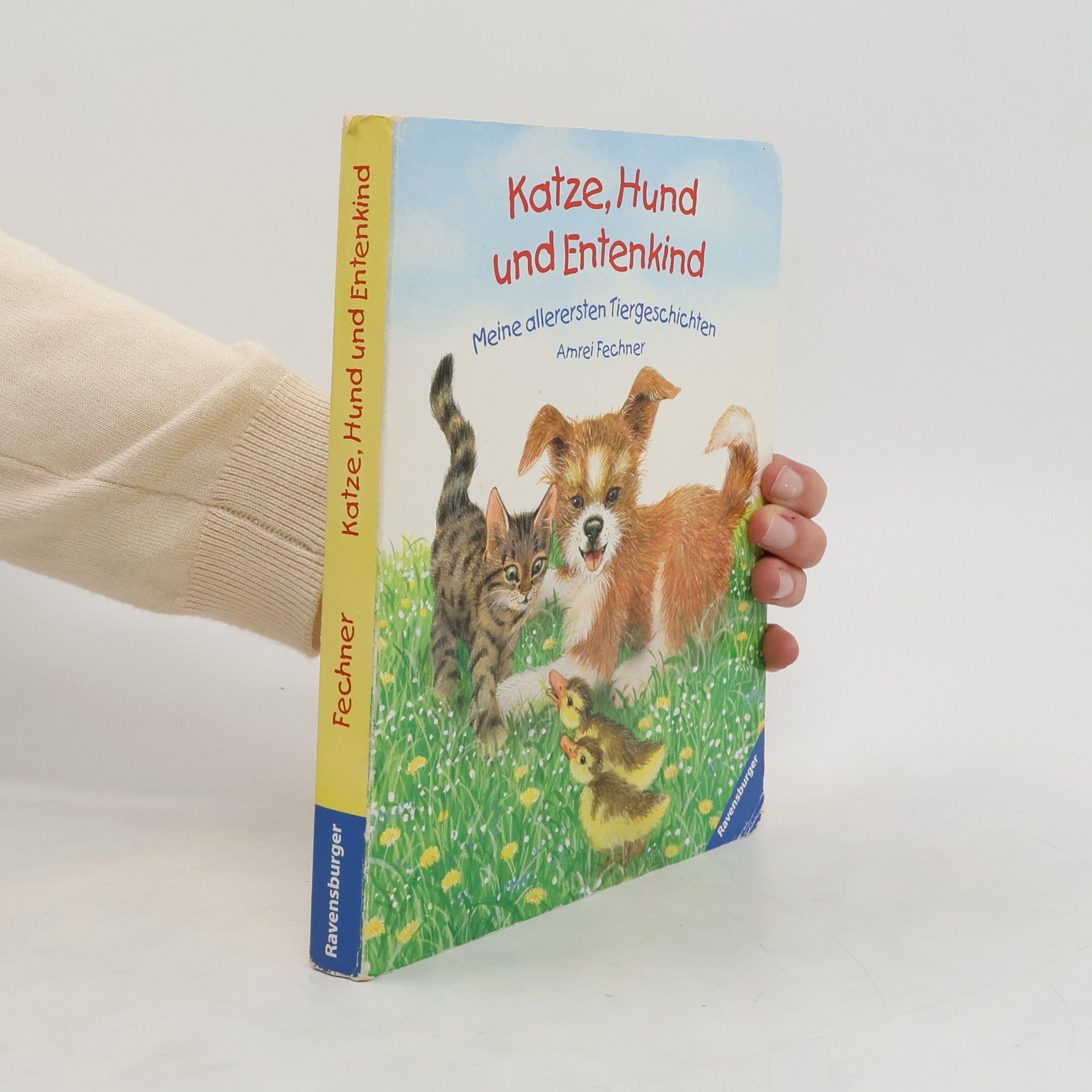 Amrei Fechner Katze, Hund und Entenkind