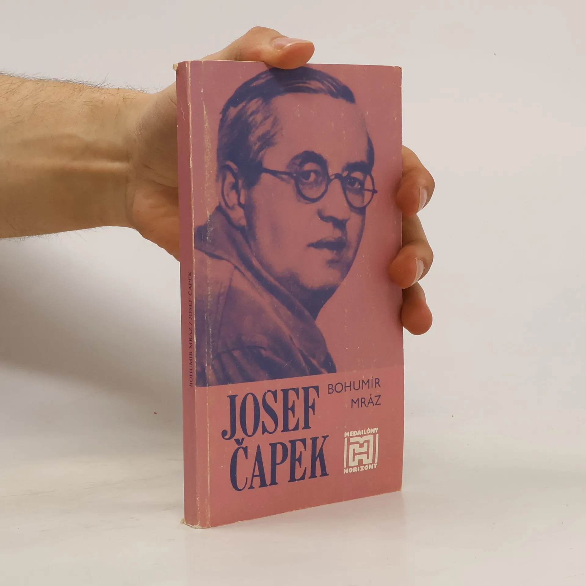 Josef Čapek | Kniha | mäkká | Bohumír Mráz | CS