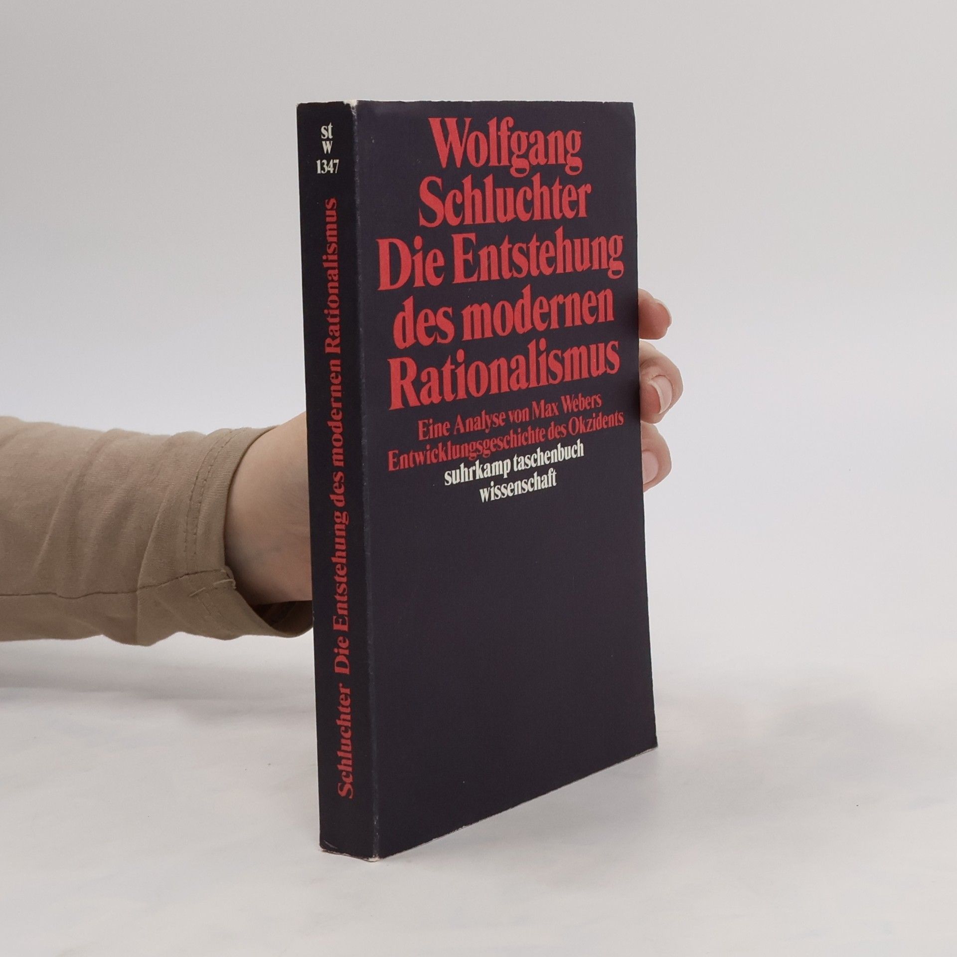Wolfgang Schluchter Die Entstehung des modernen Rationalismus
