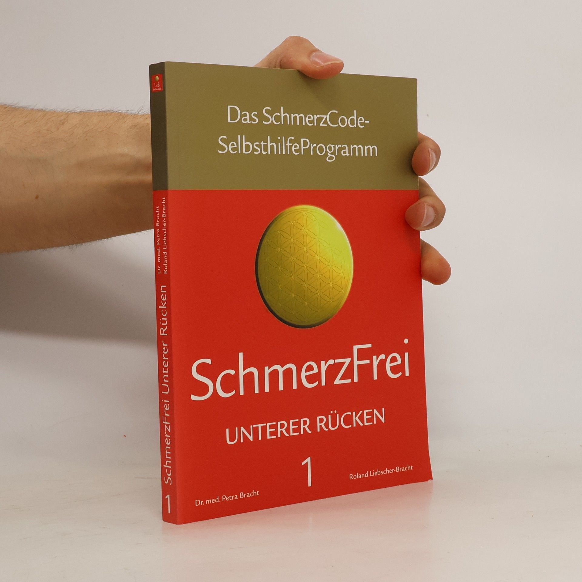 Petra Bracht SchmerzFrei