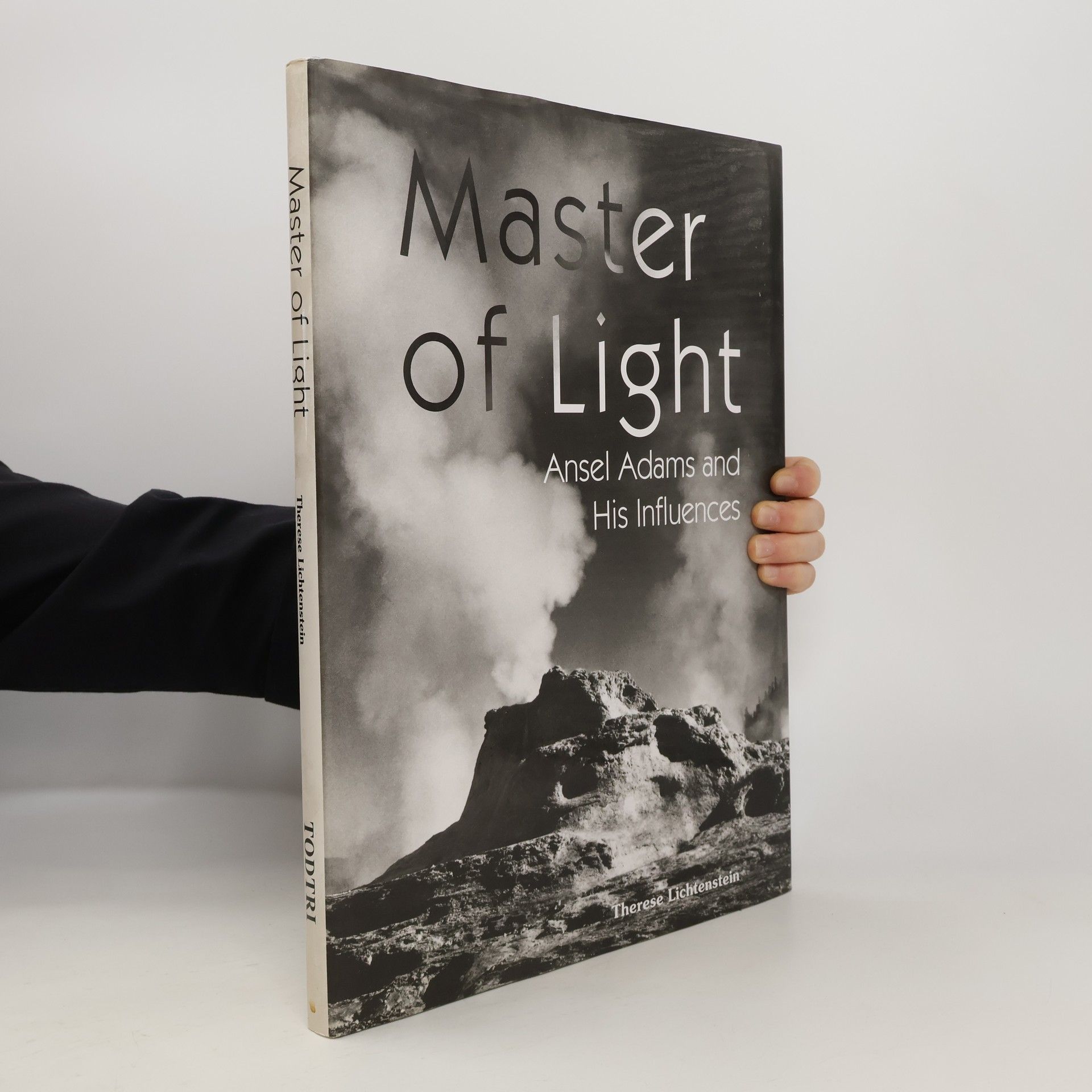 Therese Lichtenstein Master of Light