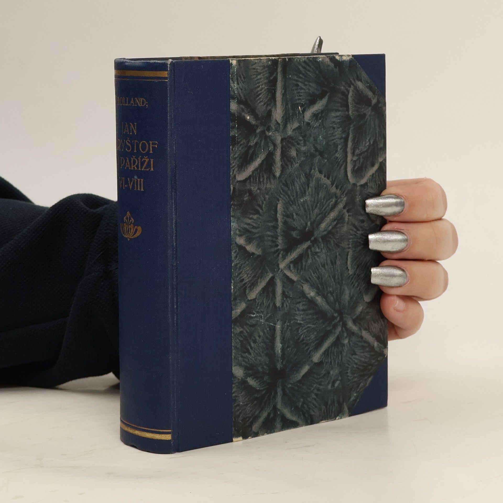 Romain Rolland Jan Kryštof v Paříži. VI. Antoinetta