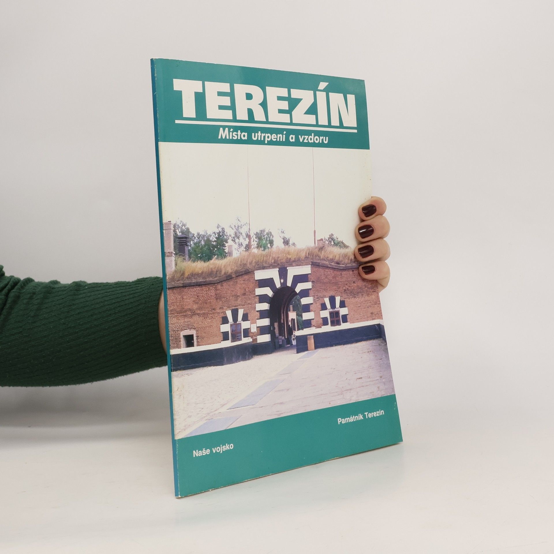 Miroslava Benešová Terezín : místa utrpení a vzdoru