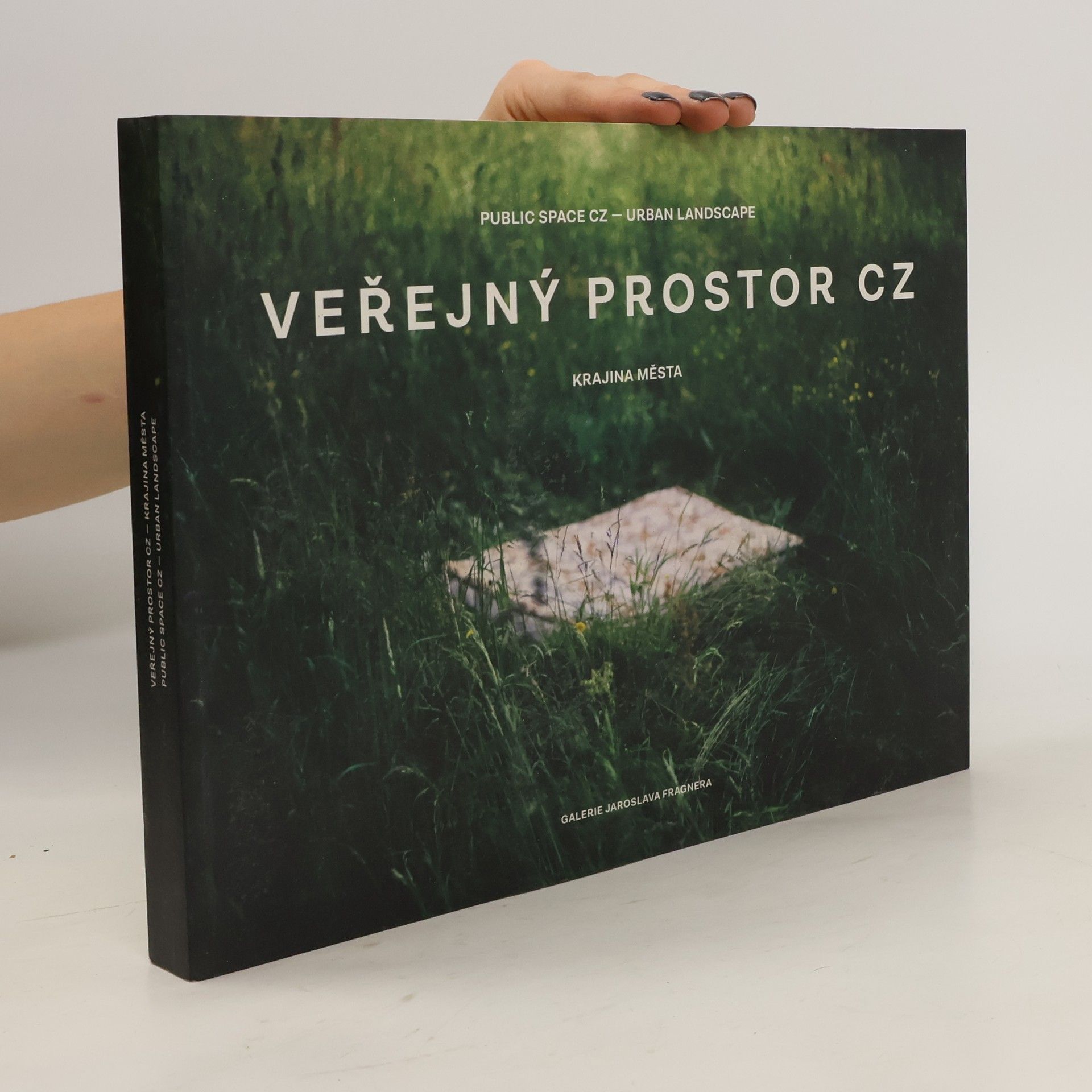 Collectif d'auteurs Veřejný prostor CZ. Krajina města