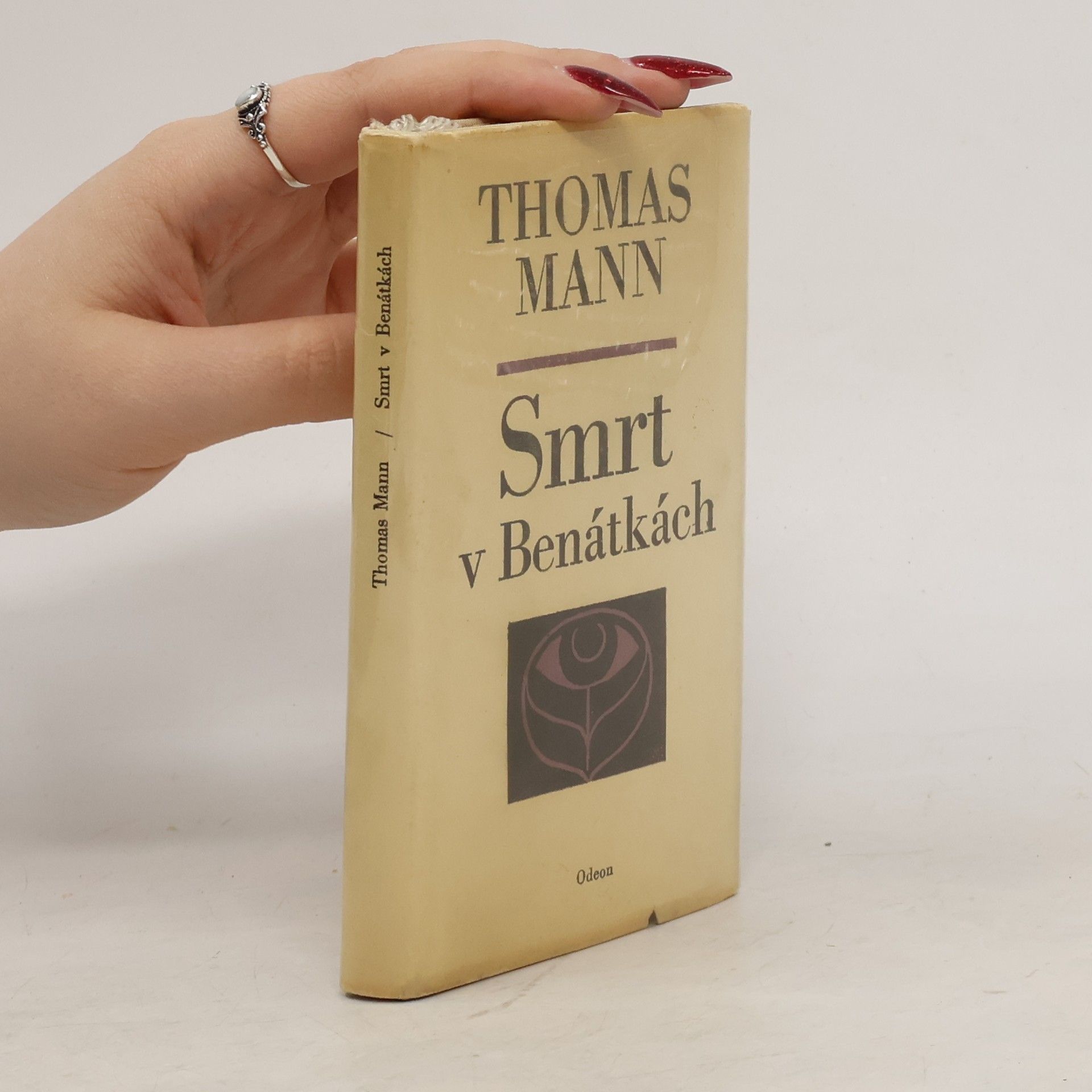 Thomas Mann Smrt v Benátkách