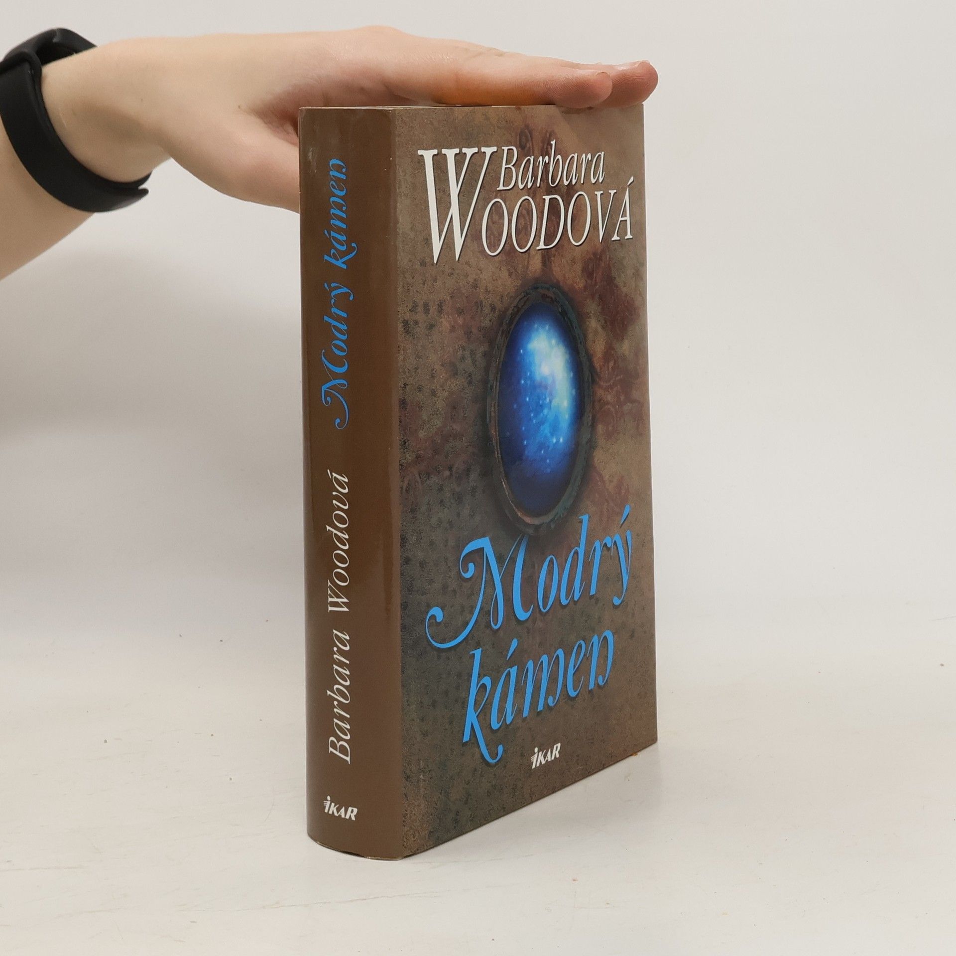 Barbara Wood Modrý kámen