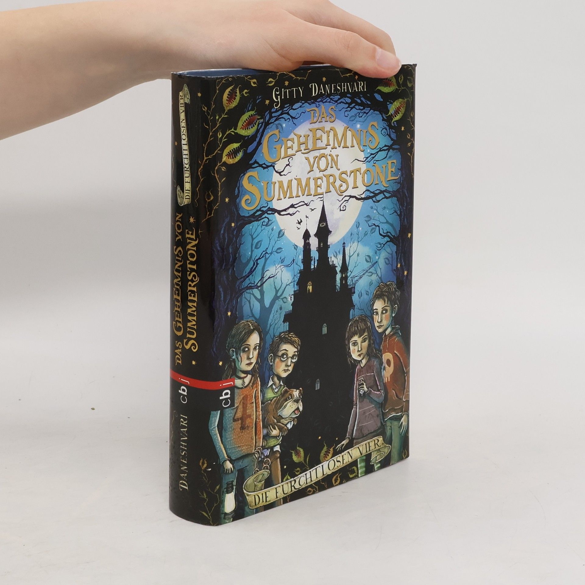 Gitty Daneshvari Das Geheimnis von Summerstone: Die furchtlosen Vier