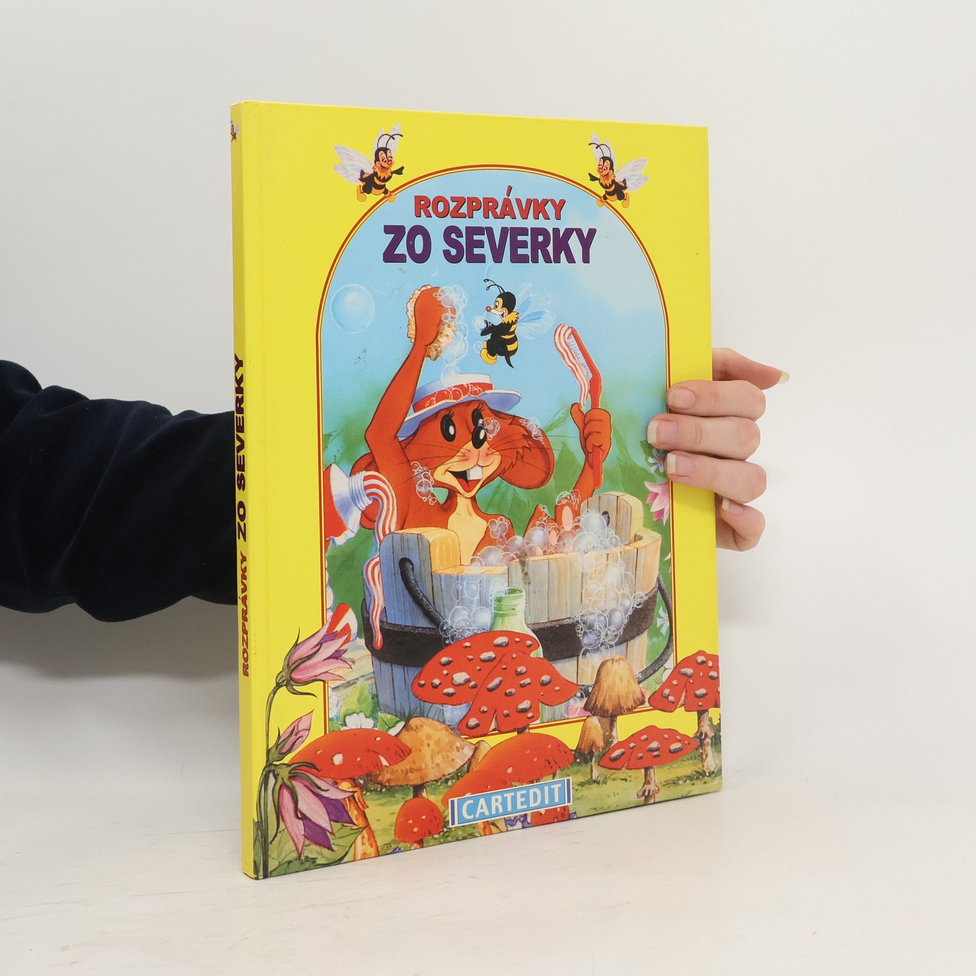 Kolektív autorov Rozprávky zo severky
