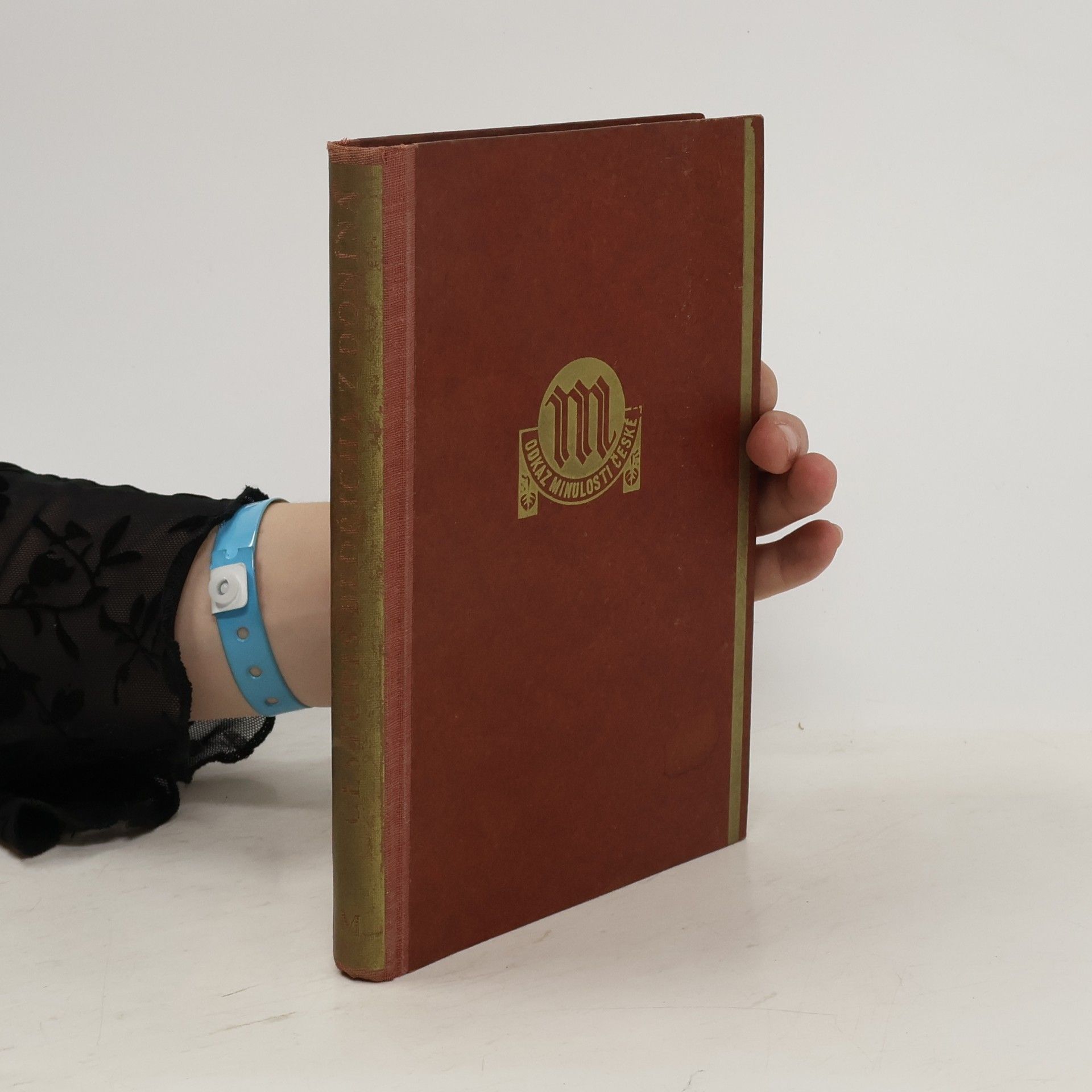 Bedřich Donína Cestopis Bedřicha z Donína