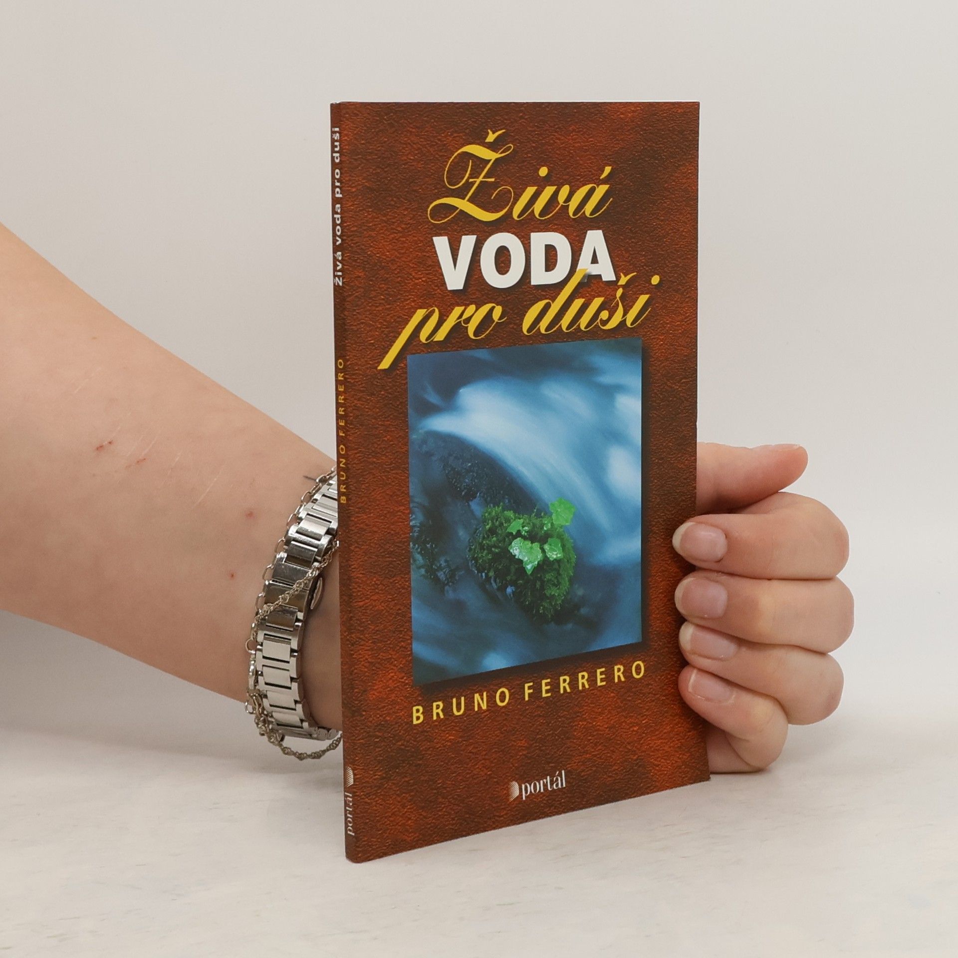 Bruno Ferrero Živá voda pro duši