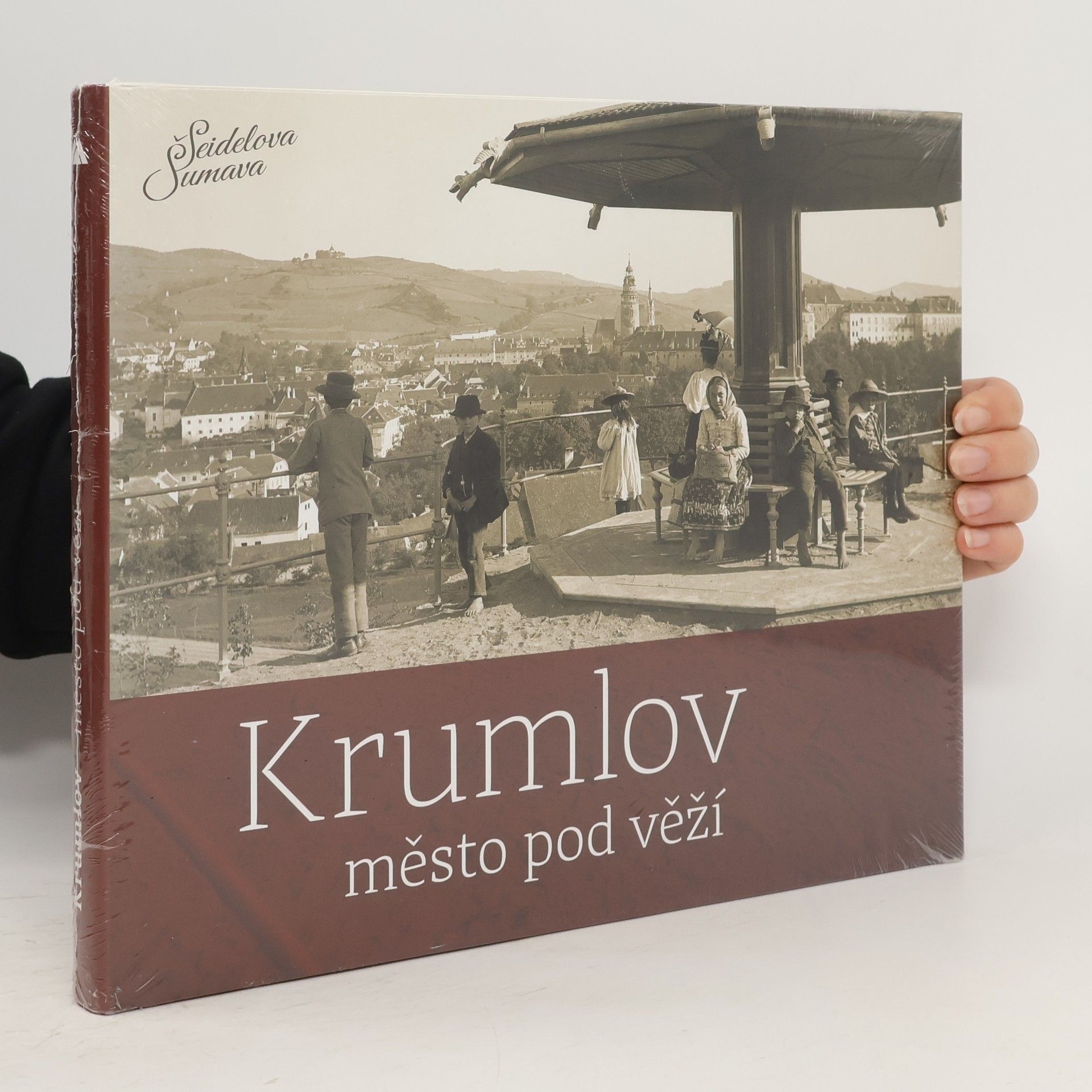 Petr Hudičák Krumlov, město pod věží