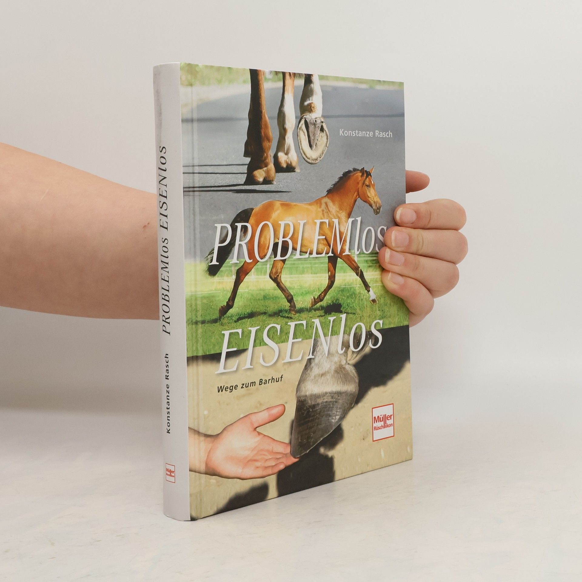 Konstanze Rasch Problemlos eisenlos