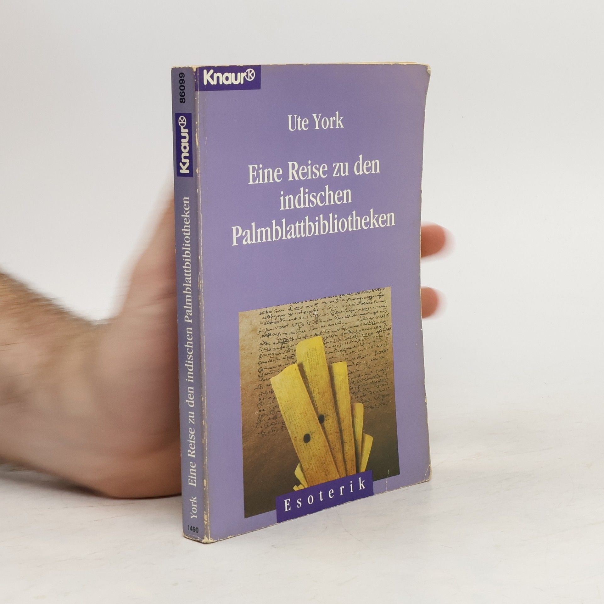 Ute York Eine Reise zu den indischen Palmblattbibliotheken