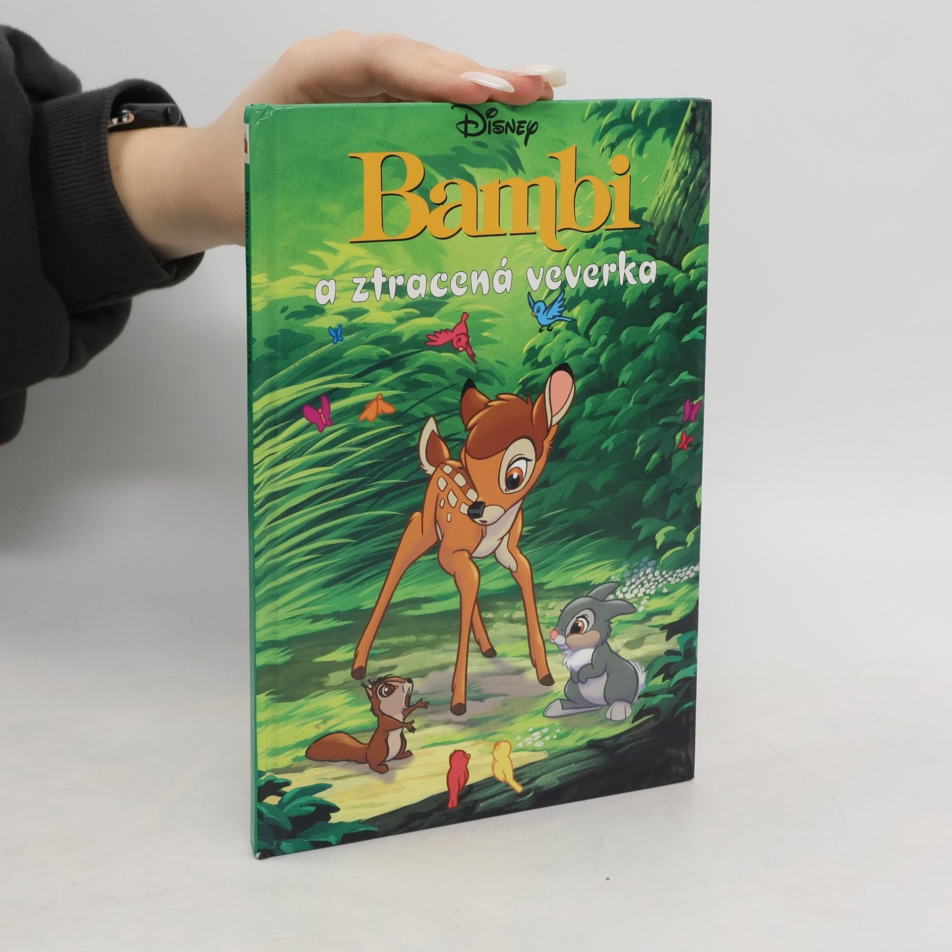 kolektiv Bambi a ztracená veverka