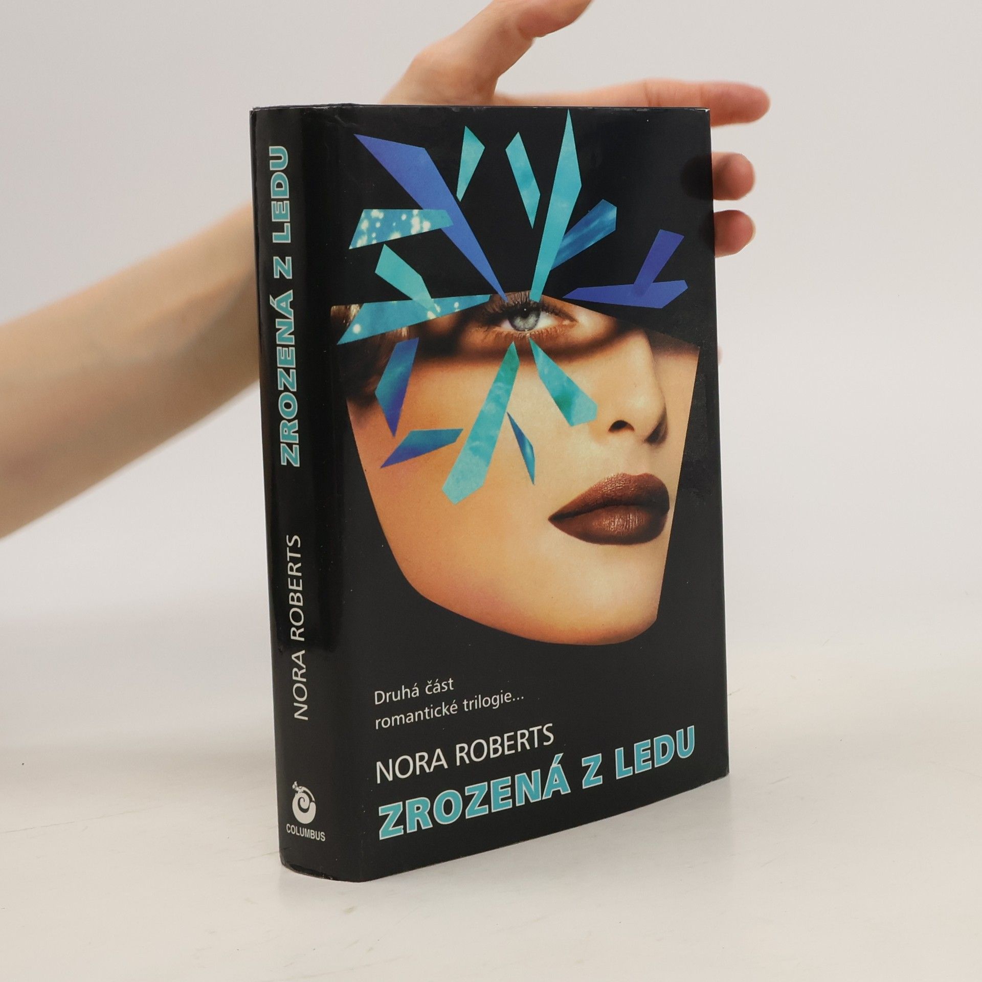 Nora Roberts Zrozená z ledu