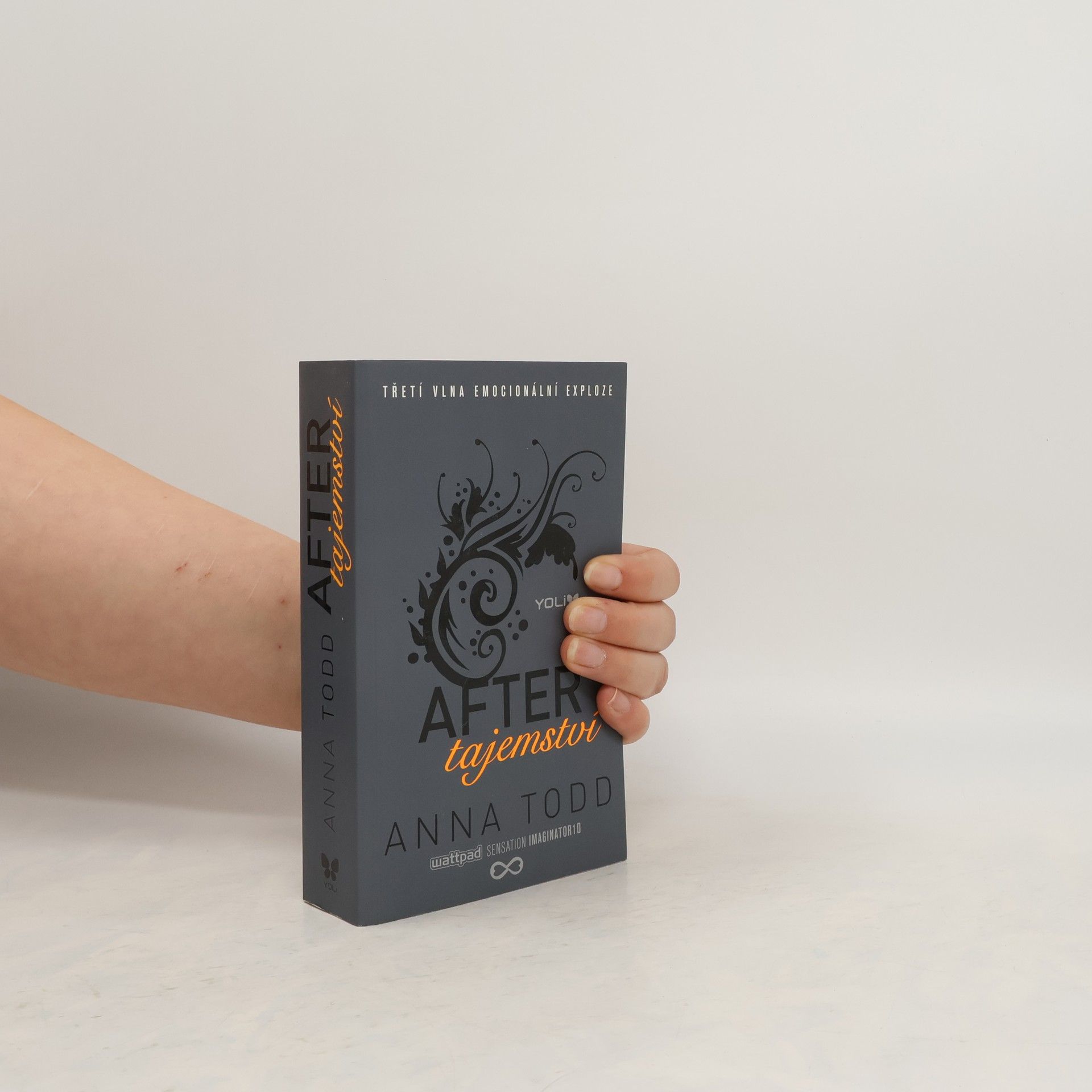 Anna Todd After. Tajemství