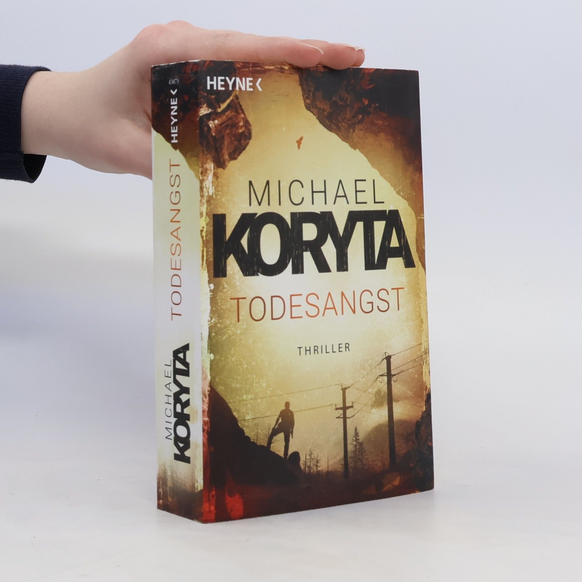 Michael Koryta Todesangst