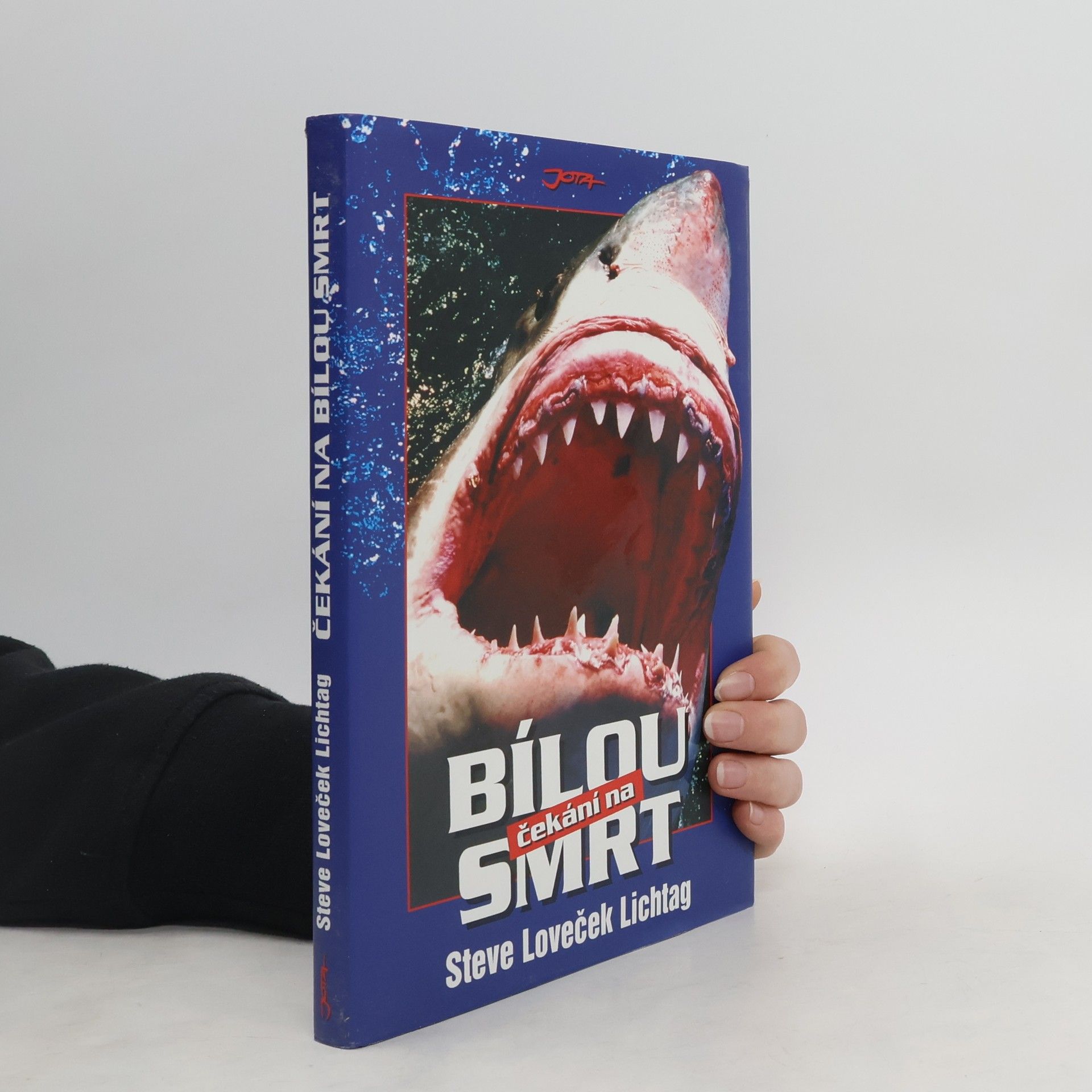 Steve Lichtag Čekání na bílou smrt