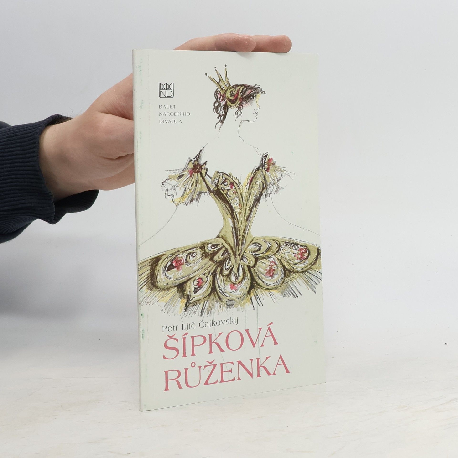 Dana Šťastná Flídrová Šípková Růženka